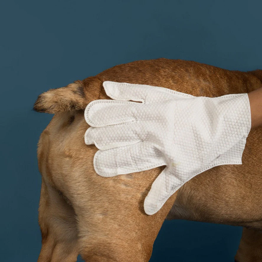 Glove & Go! Glove Grooming Wipes for Dogs & Cats (20 Count) - Image 8