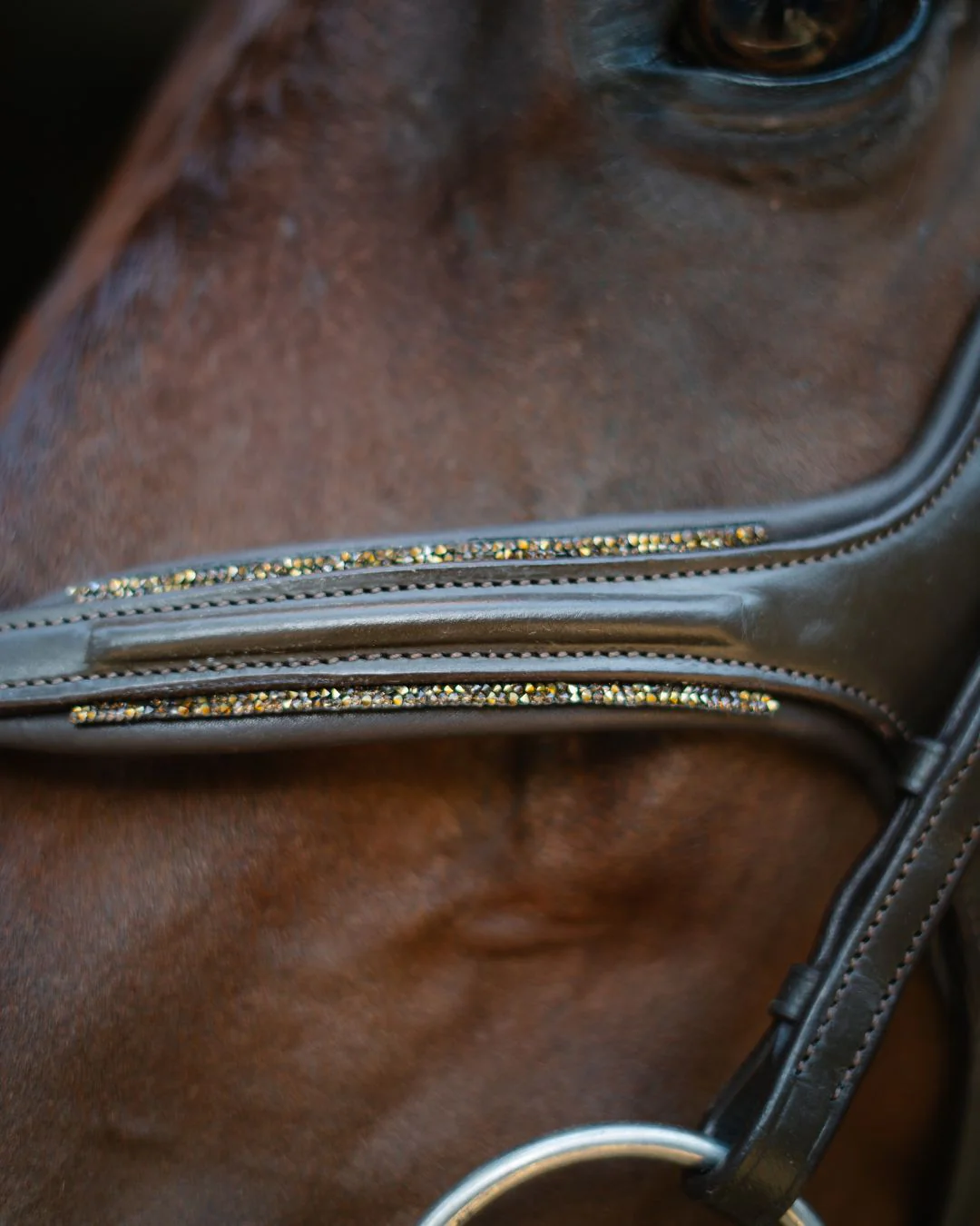 Gold Accented Figure 8 Bridle with Gold Browband - Image 4