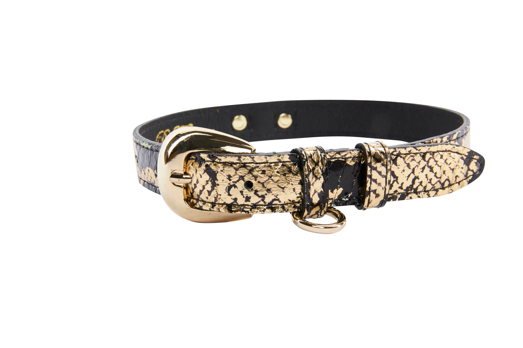 Gold & Black Snake Collar With Oval Gold Hardware - Image 3