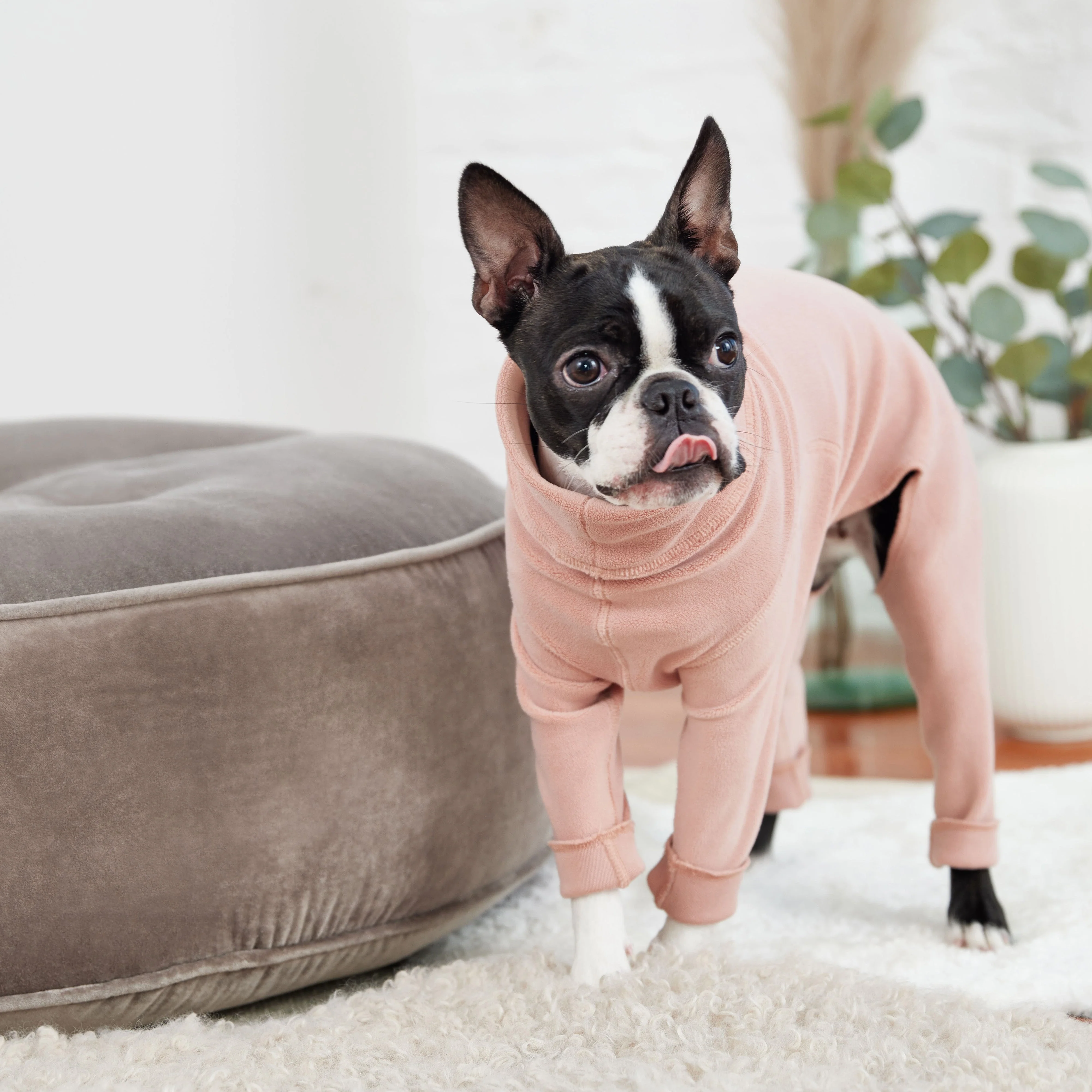 GF Pet.us other Pet Apparel - pink/XS - Image 5