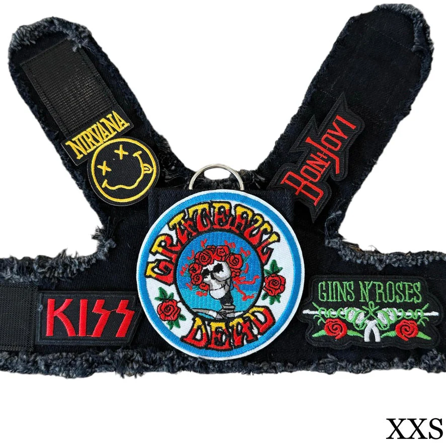 Grateful Dead Harness - Image 10