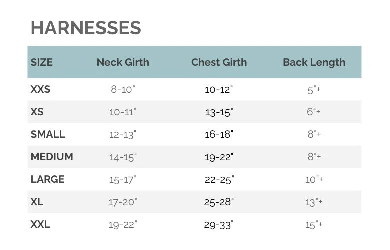 Grateful Dead Harness - Image 11