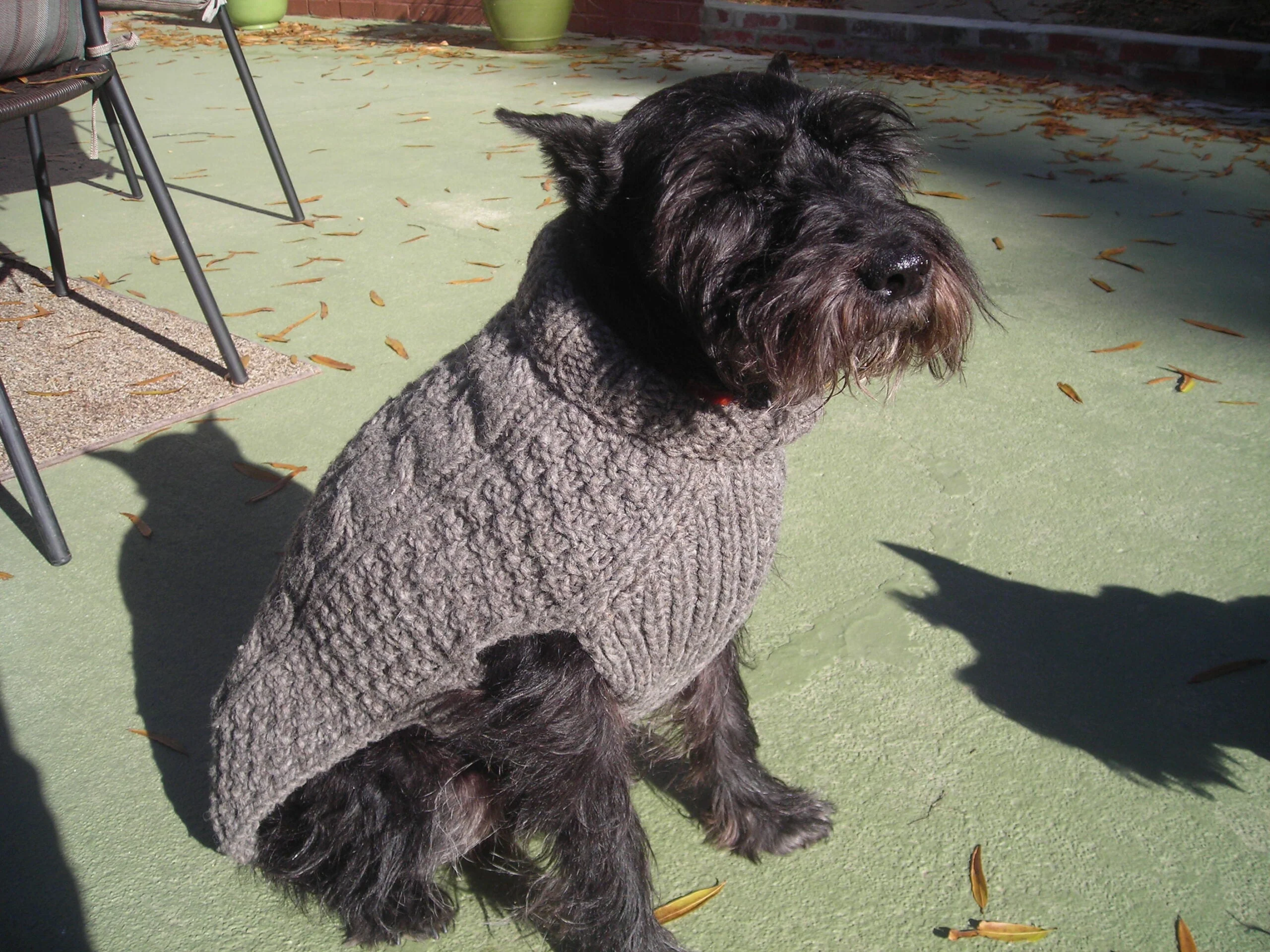Gray Cable-Knit Dog Sweater - Image 2