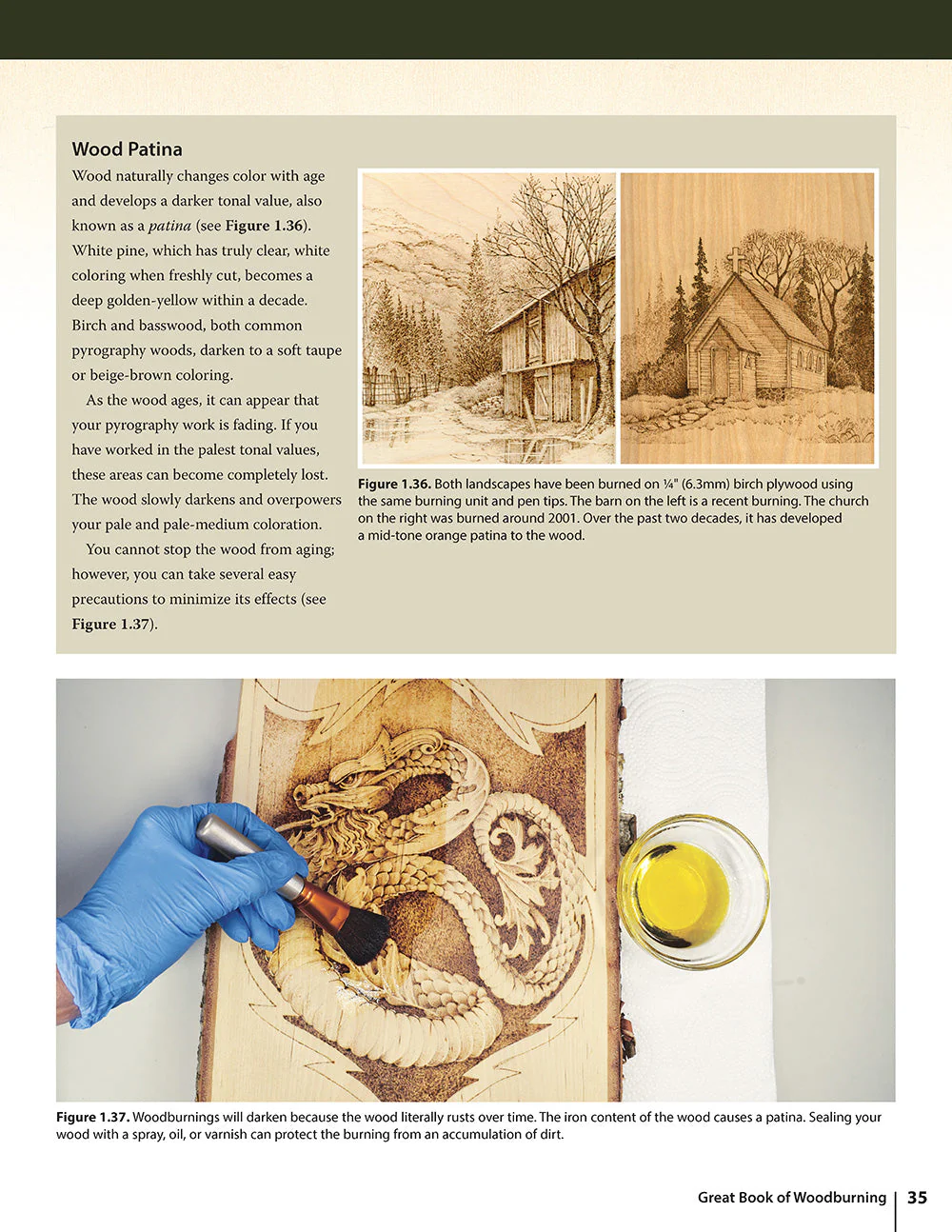 Great Book of Woodburning, Revised and Expanded Second Edition - Image 11