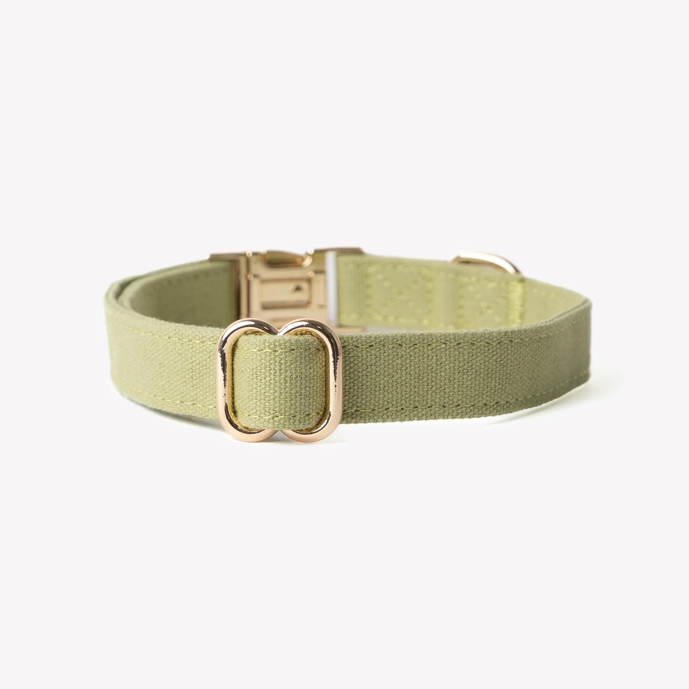 Green - Canvas Dog Collar - Image 2
