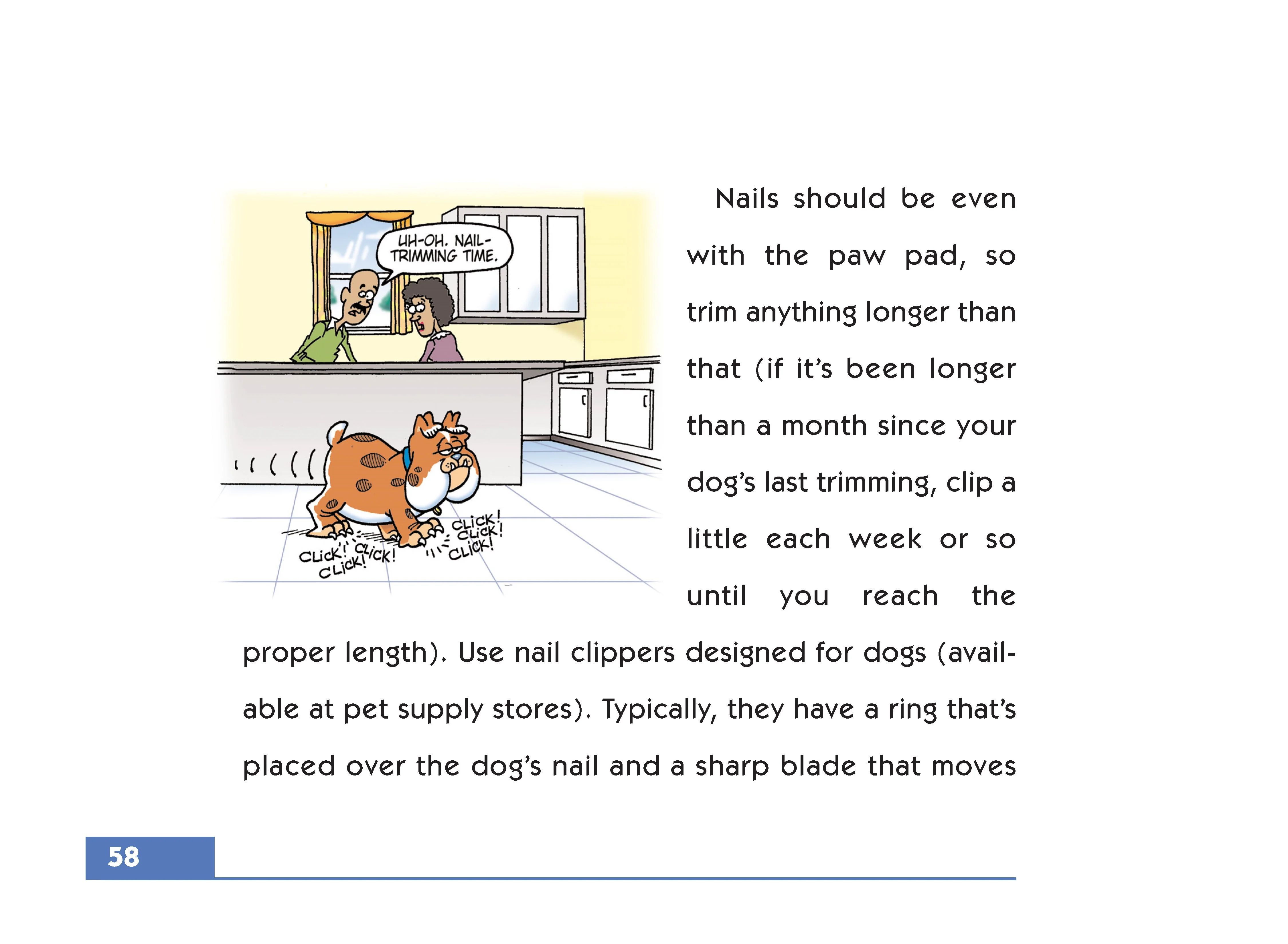 Grooming - Image 4