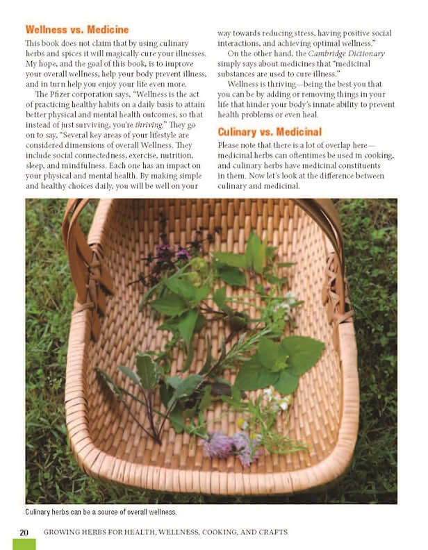 Growing Herbs for Health, Wellness, Cooking, and Crafts - Image 3