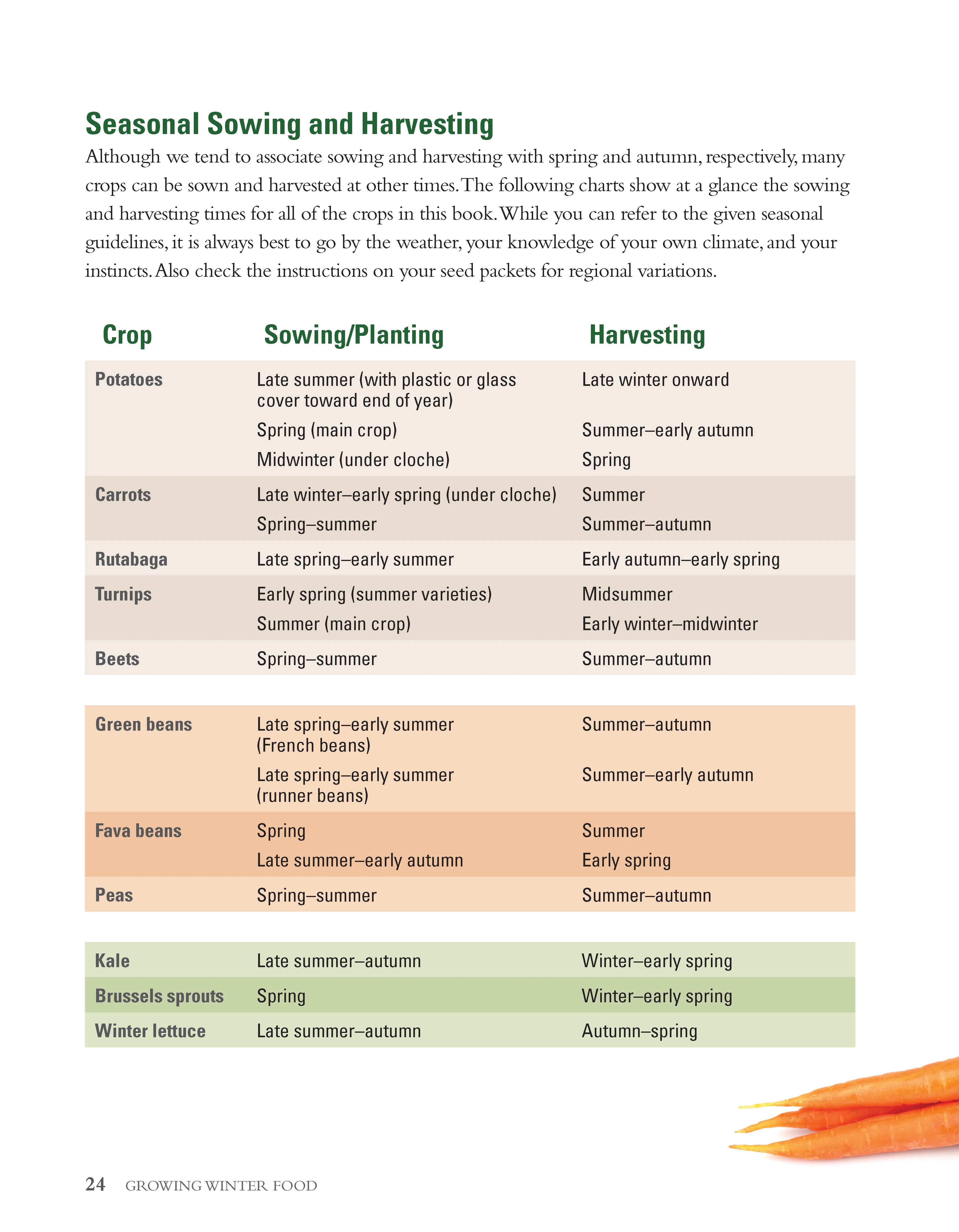 Growing Winter Food - Image 3