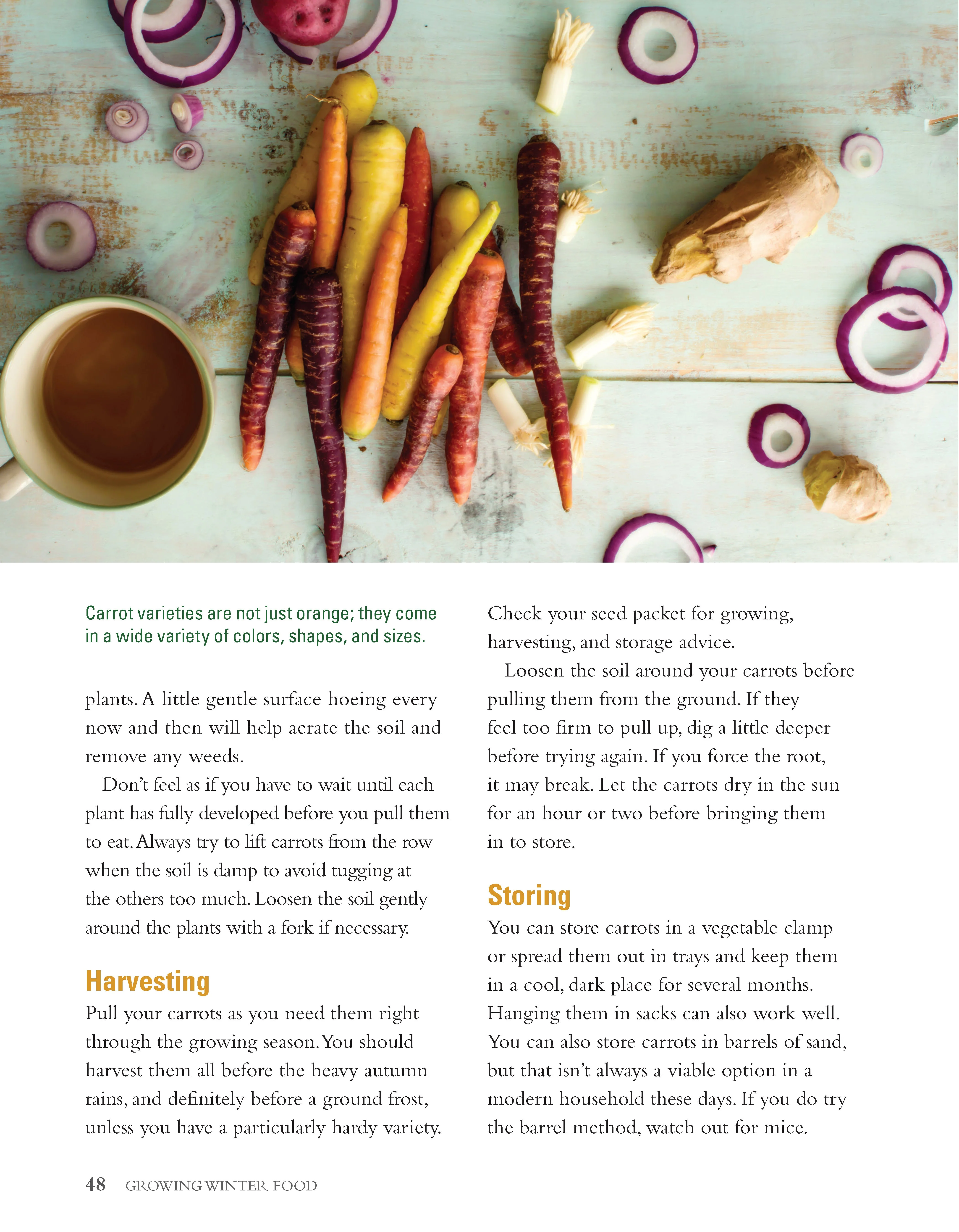 Growing Winter Food - Image 6