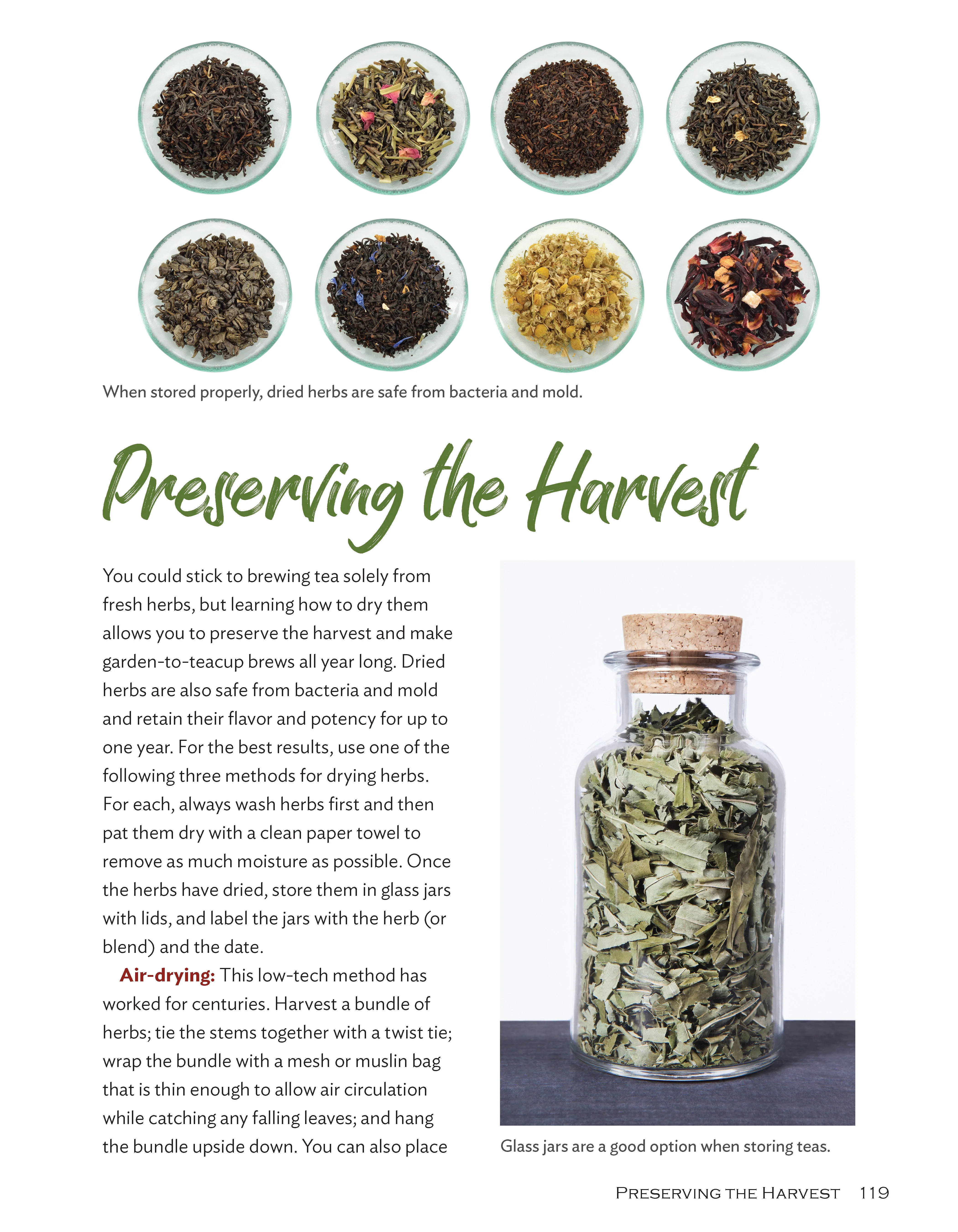 Growing Your Own Tea Garden - Image 4