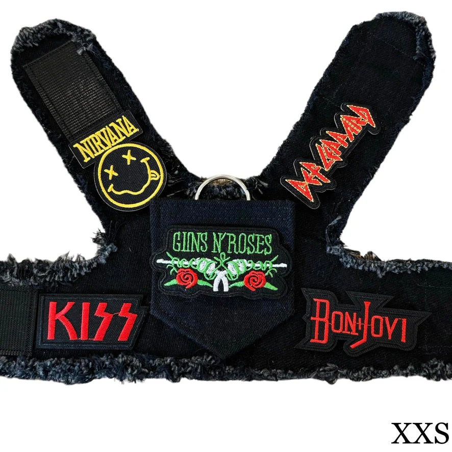 Guns N' Roses Harness - Image 4