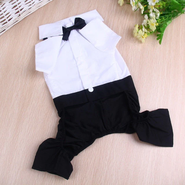 Handsome Stylish Pet Suit with Bow Tie - Image 17