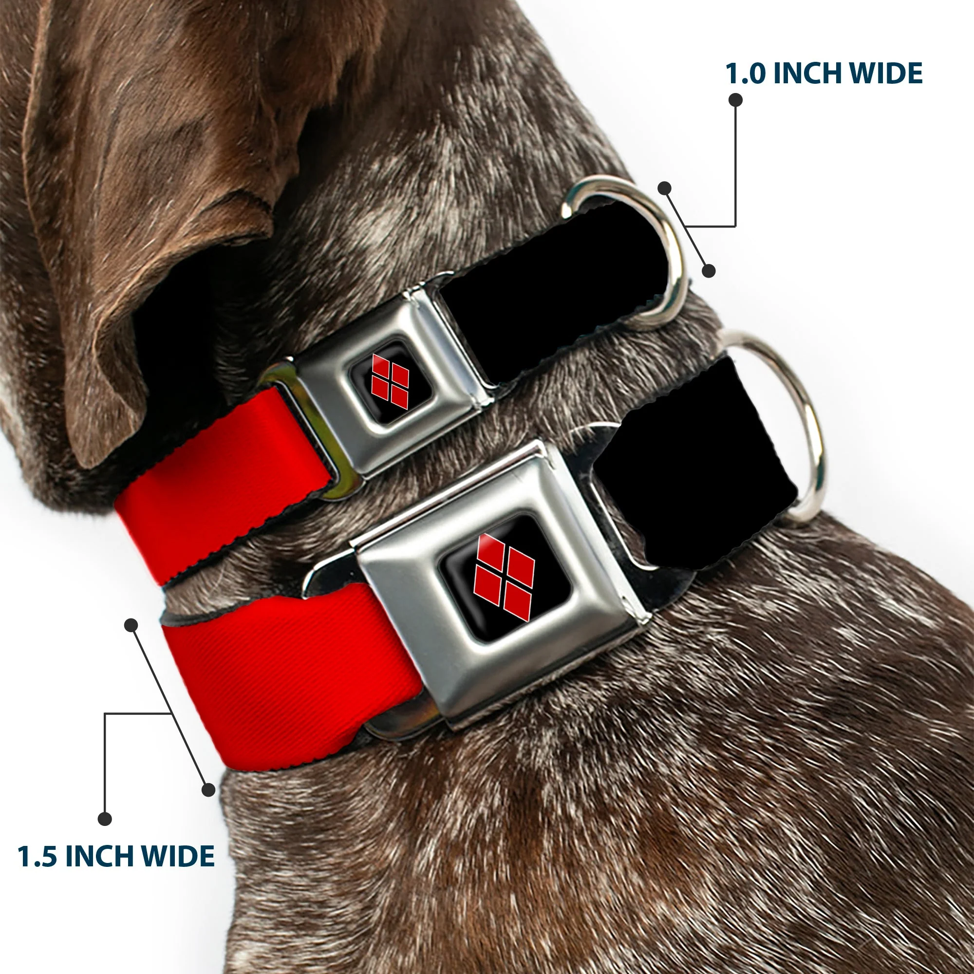 Harley Quinn Diamond Full Color Black Red Seatbelt Buckle Collar - HARLEY QUINN/Diamonds Black/Red/White - Image 2