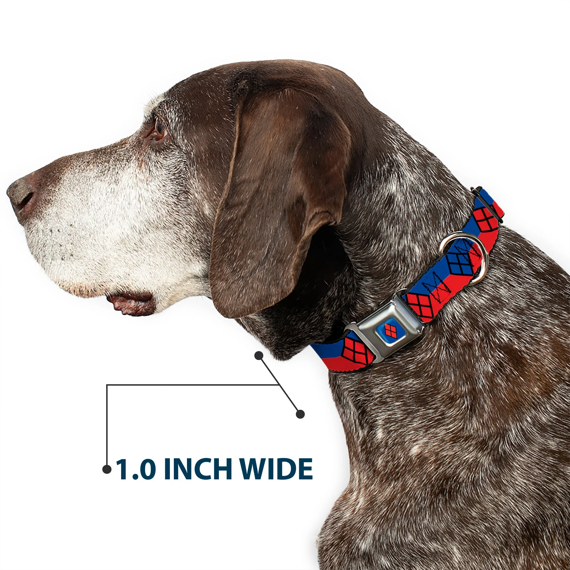 Harley Quinn Diamond Full Color Blue/Black/Red Seatbelt Buckle Collar - Harley Quinn Diamond/Stripe Red/Blue - Image 6