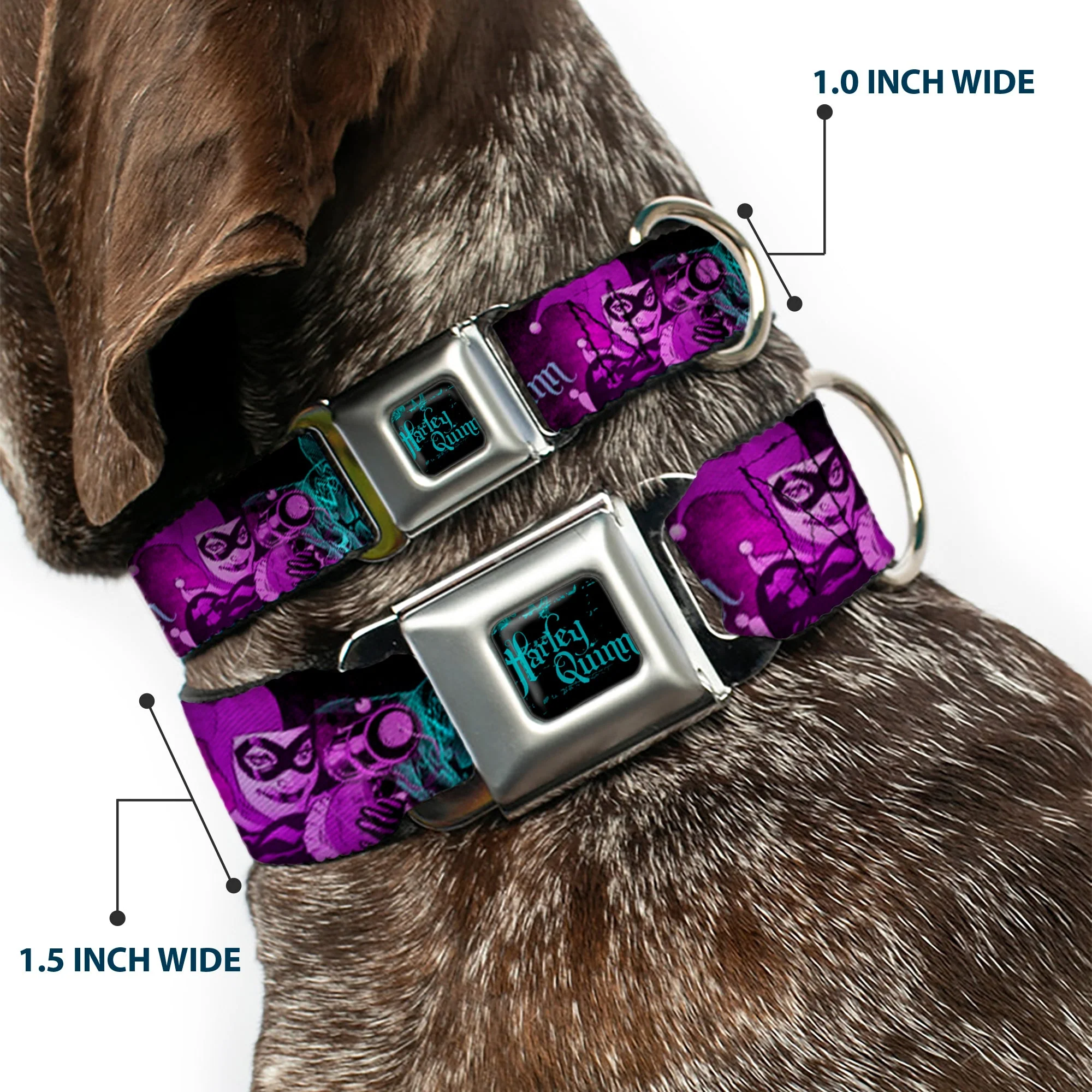HARLEY QUINN Full Color Black Turquoise Seatbelt Buckle Collar - HARLEY QUINN Pow & Aiming Poses/Joker Sketch Black/Turquoise/Fuchsia - Image 2