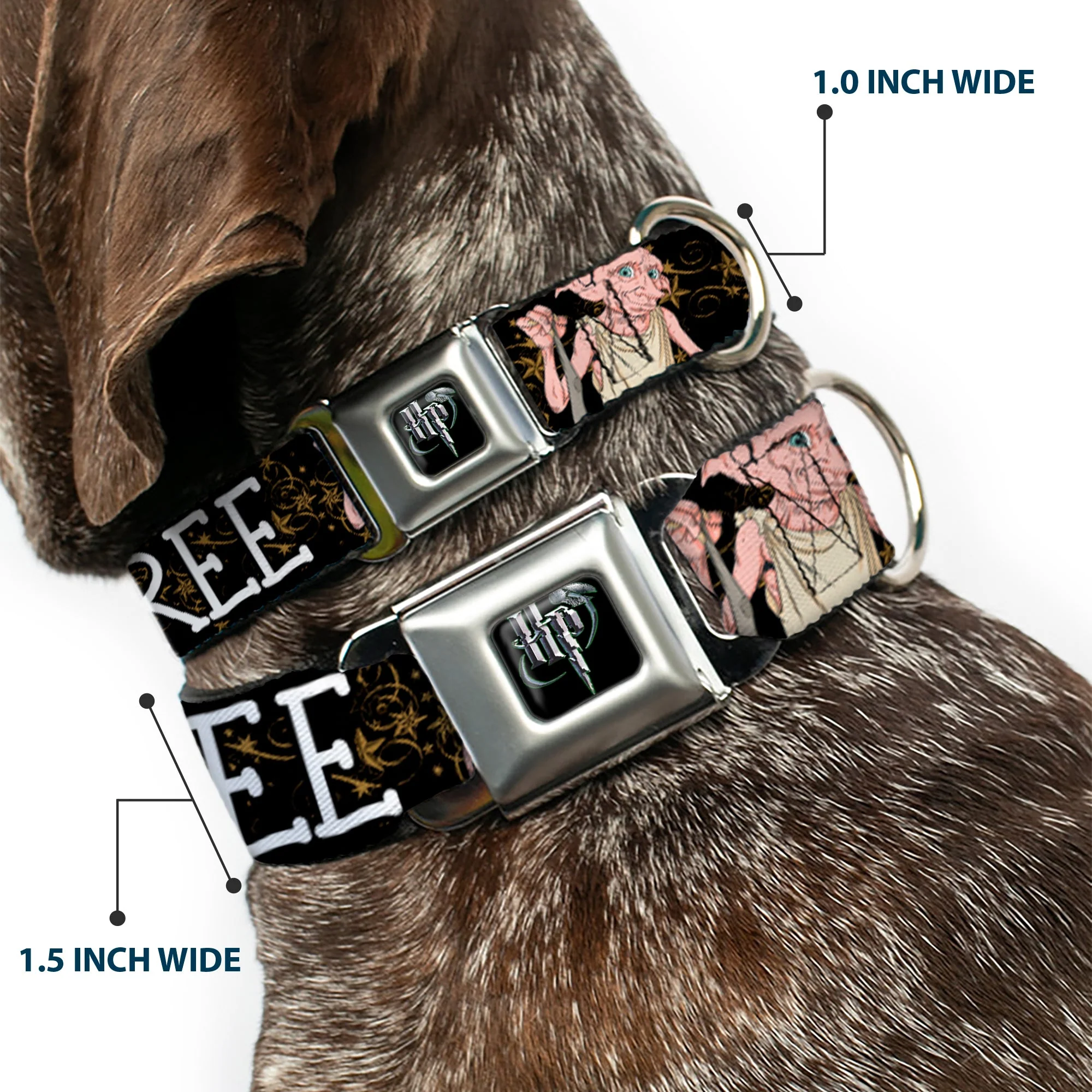 Harry Potter Logo Full Color Black/White Seatbelt Buckle Collar - DOBBY IS FREE/3-Dobby Poses Star Swirls Black/Gold/White - Image 2