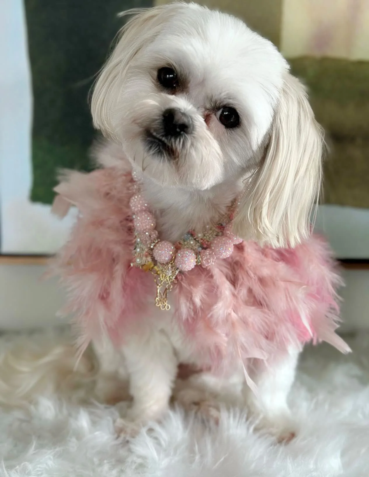 Haute: Whimsical* - Image 2