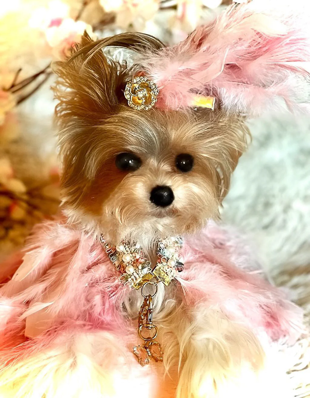 Haute: Whimsical* - Image 4