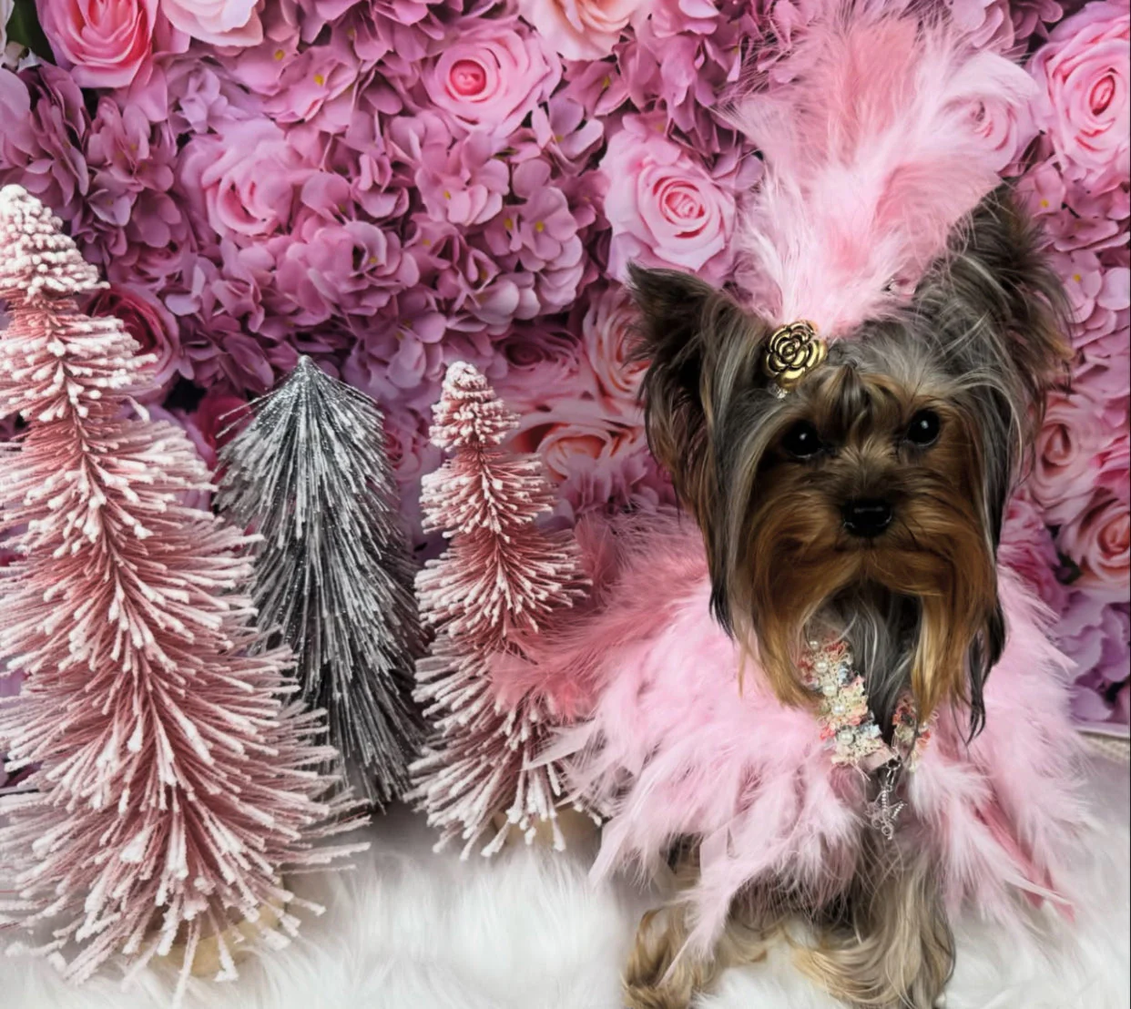 Haute: Whimsical* - Image 7