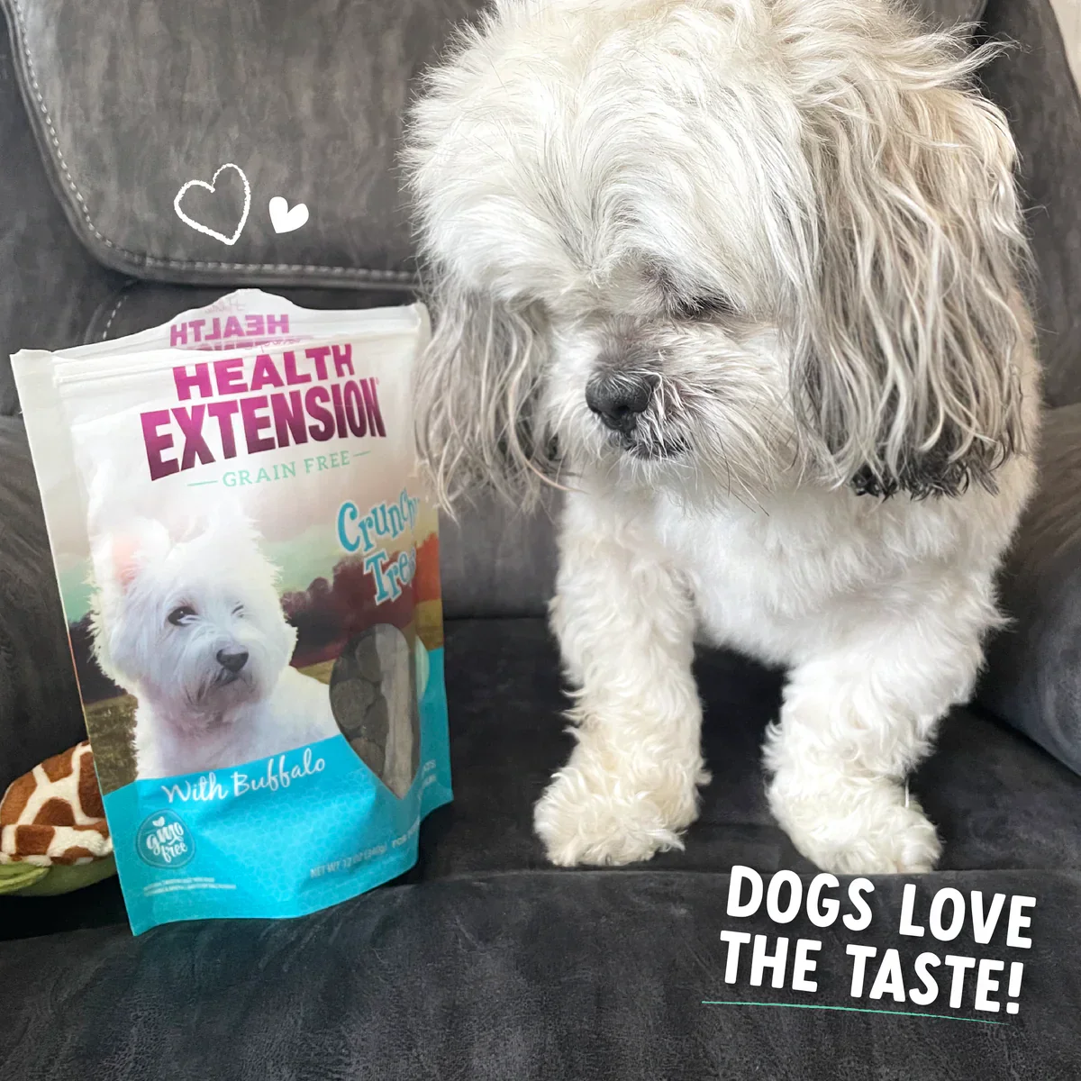 Health Extension Crunchy Heart Shaped Buffalo Dog Treats (12oz) - Image 6