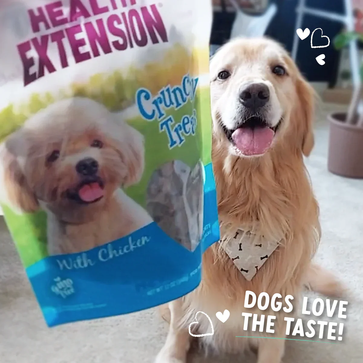 Health Extension Crunchy Heart Shaped Chicken Dog Treats (12oz) - Image 6