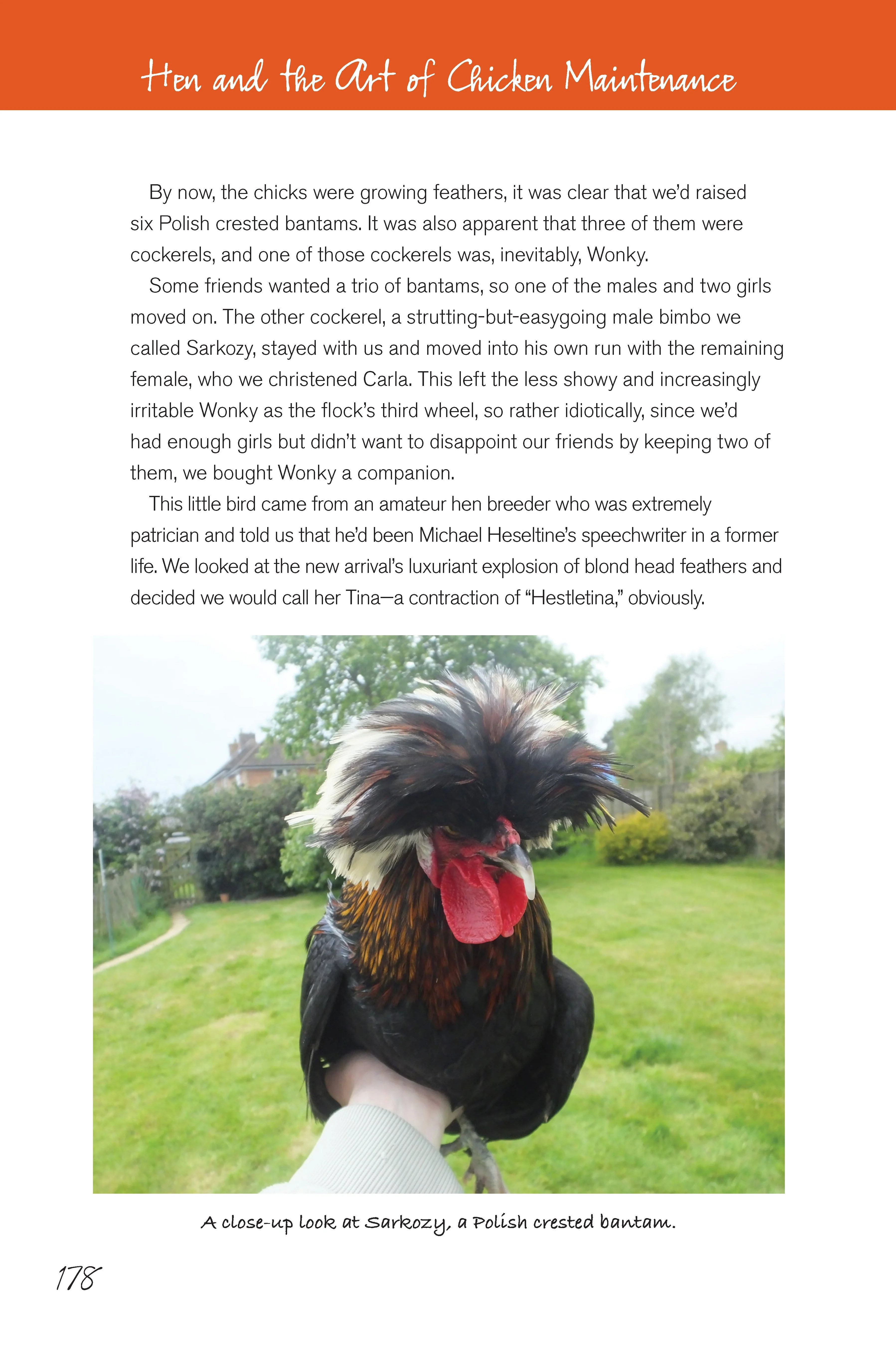 Hen and the Art of Chicken Maintenance - Image 5