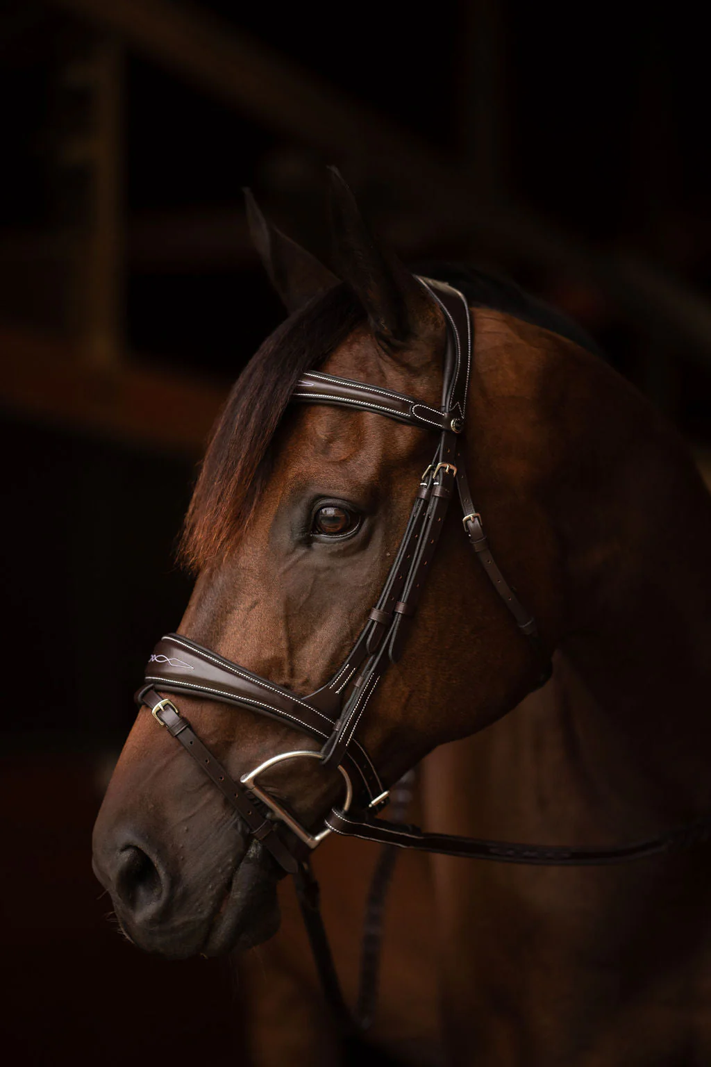 Henri de rivel Jamaika Pro Anatomical Fancy Raised Wide Flash Noseband Bridle with Raised laced reins - Image 5