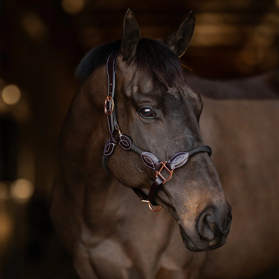 Henri de Rivel Leather Rope Halter - Image 3