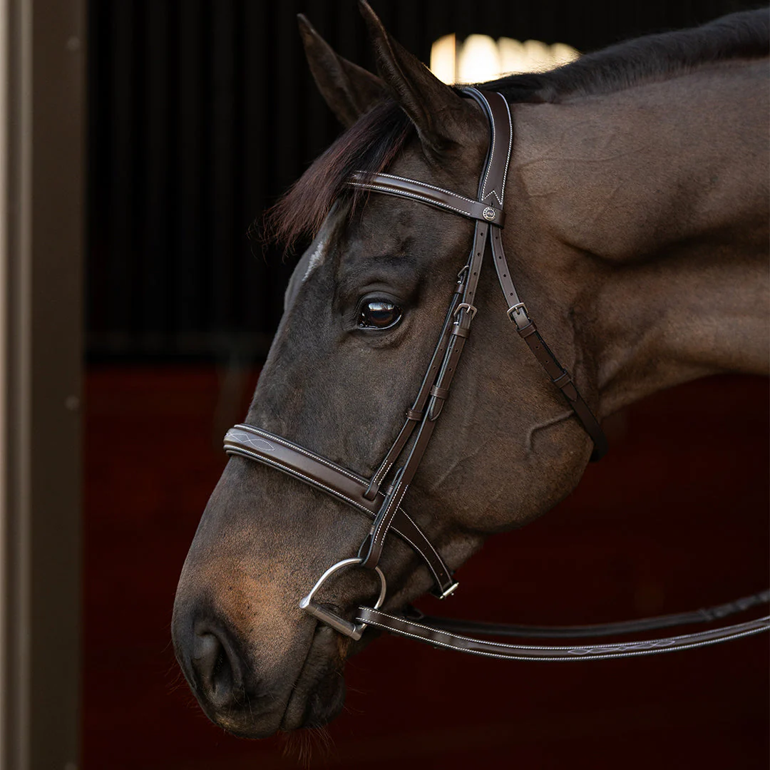 Henri de Rivel Pro Mono Crown Bridle with Padded Wide Noseband  with Laced Reins - Image 4