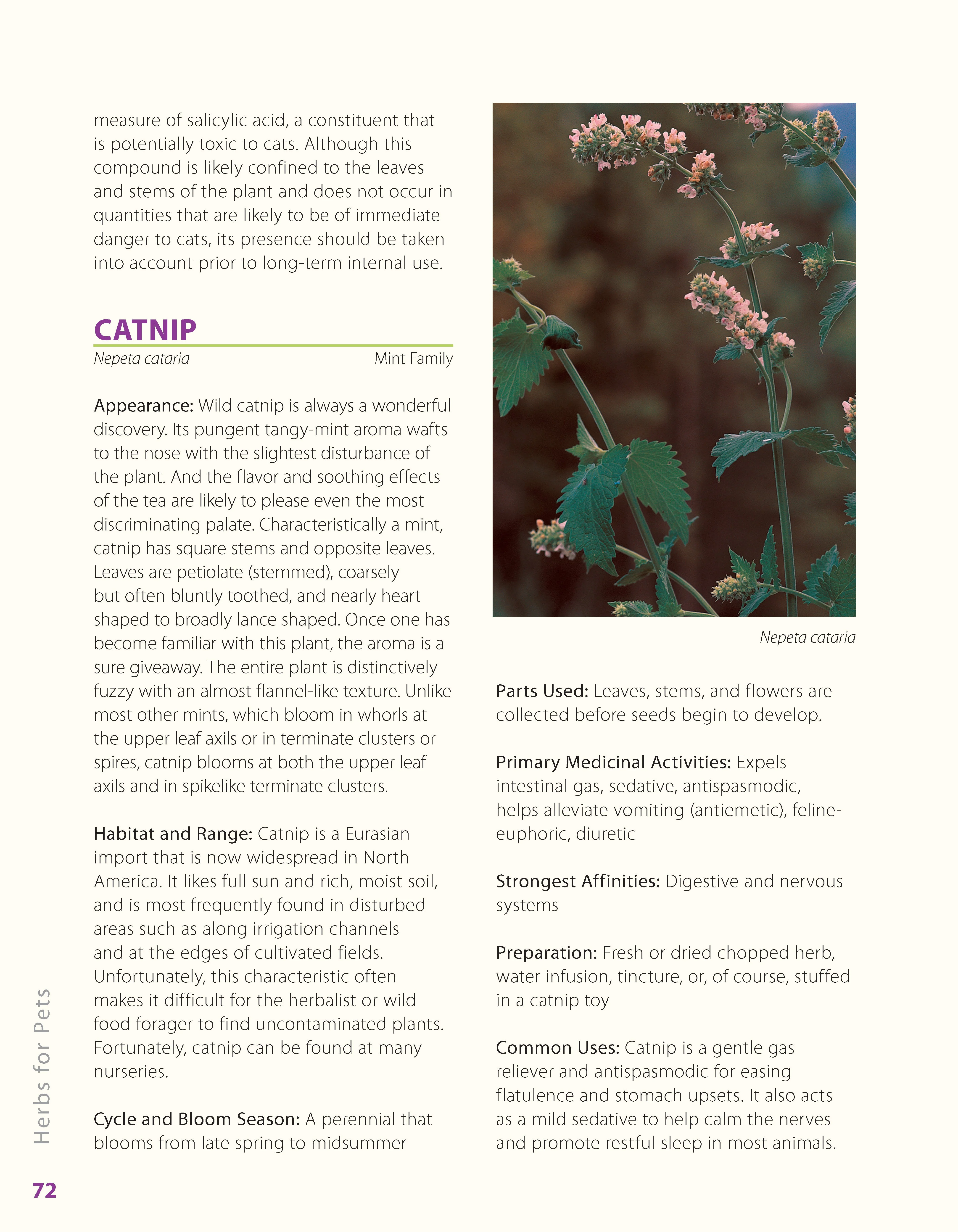 Herbs for Pets - Image 4