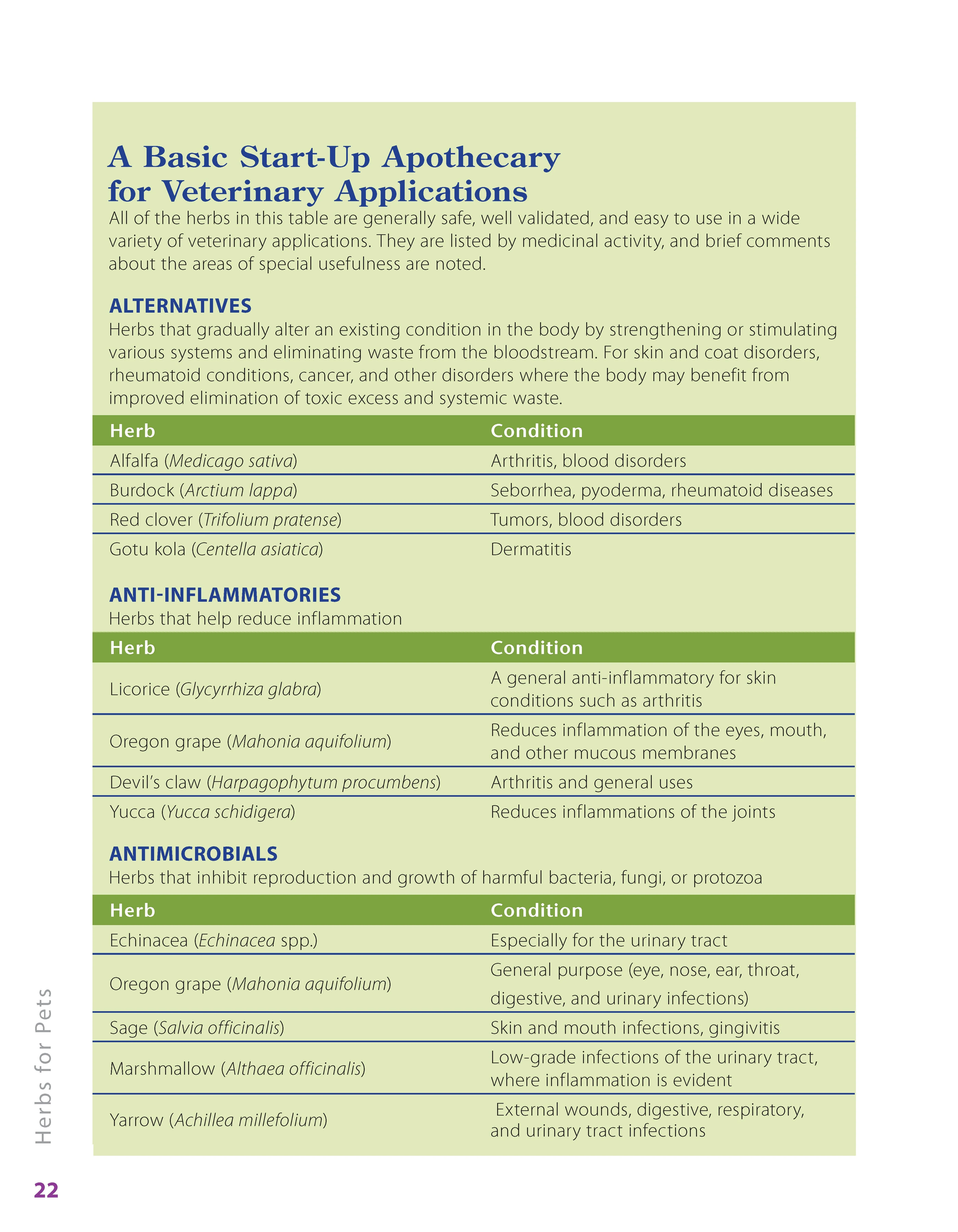 Herbs for Pets - Image 5
