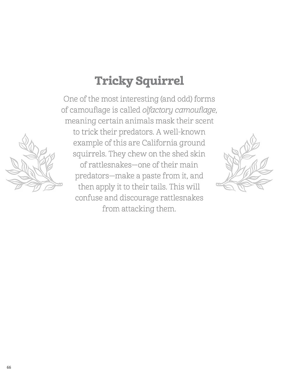 Hidden Animals Coloring Book - Image 5