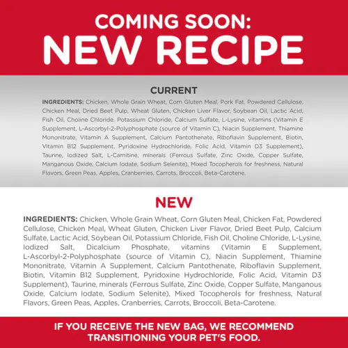 Hills Science Diet Adult Hairball Control Chicken Recipe Dry Cat Food Bag (3.5lb) - Image 5