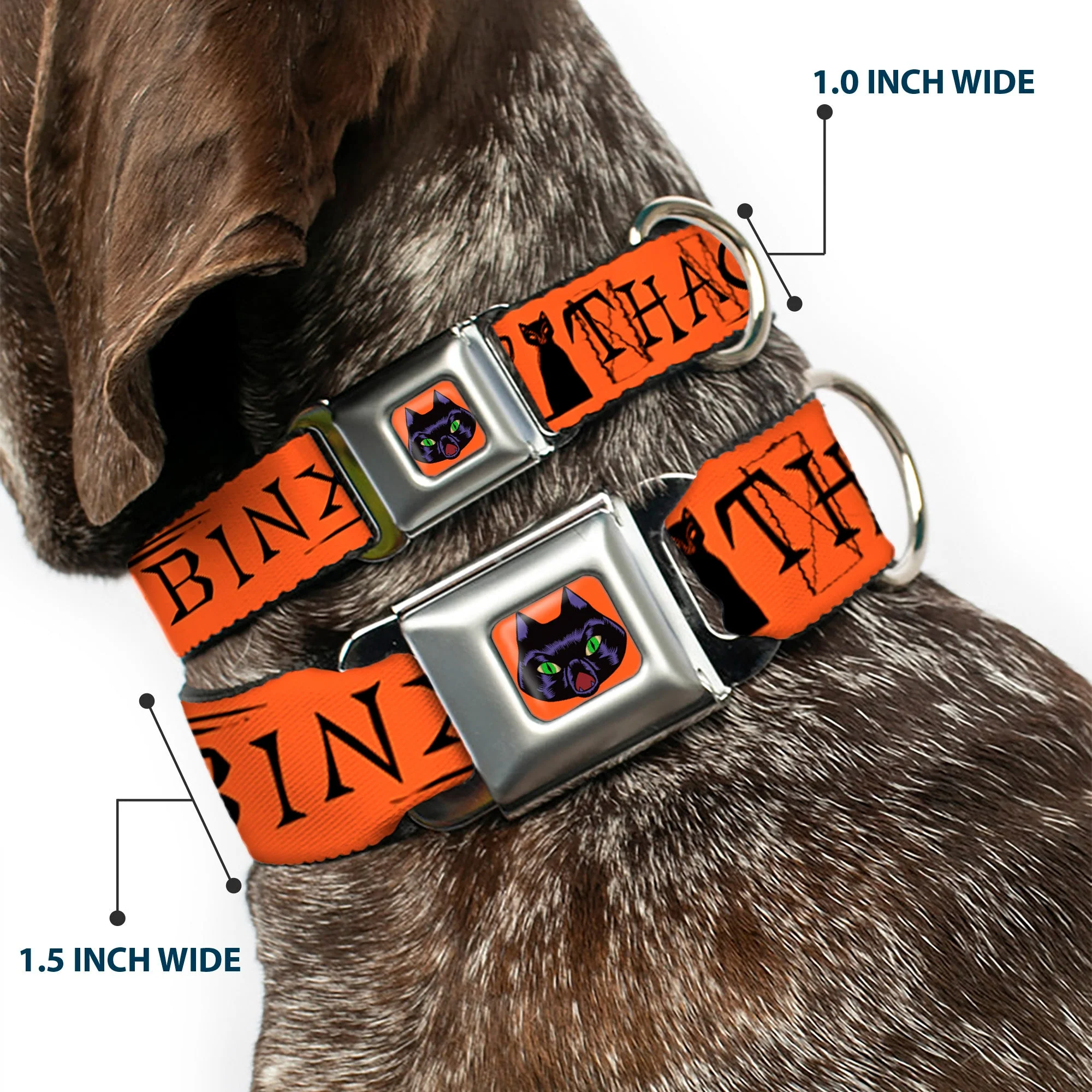 Hocus Pocus Thackery Binx Cat Face Full Color Orange Seatbelt Buckle Collar - Hocus Pocus THACKERY BINX Cat Silhouette Orange/Black - Image 2
