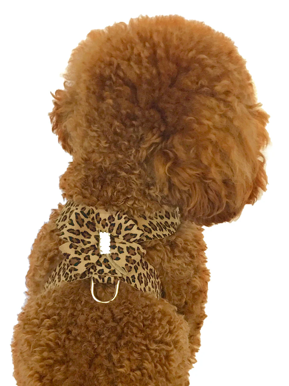 Hollywood Bow Dog Harness, Cheetah - Image 2