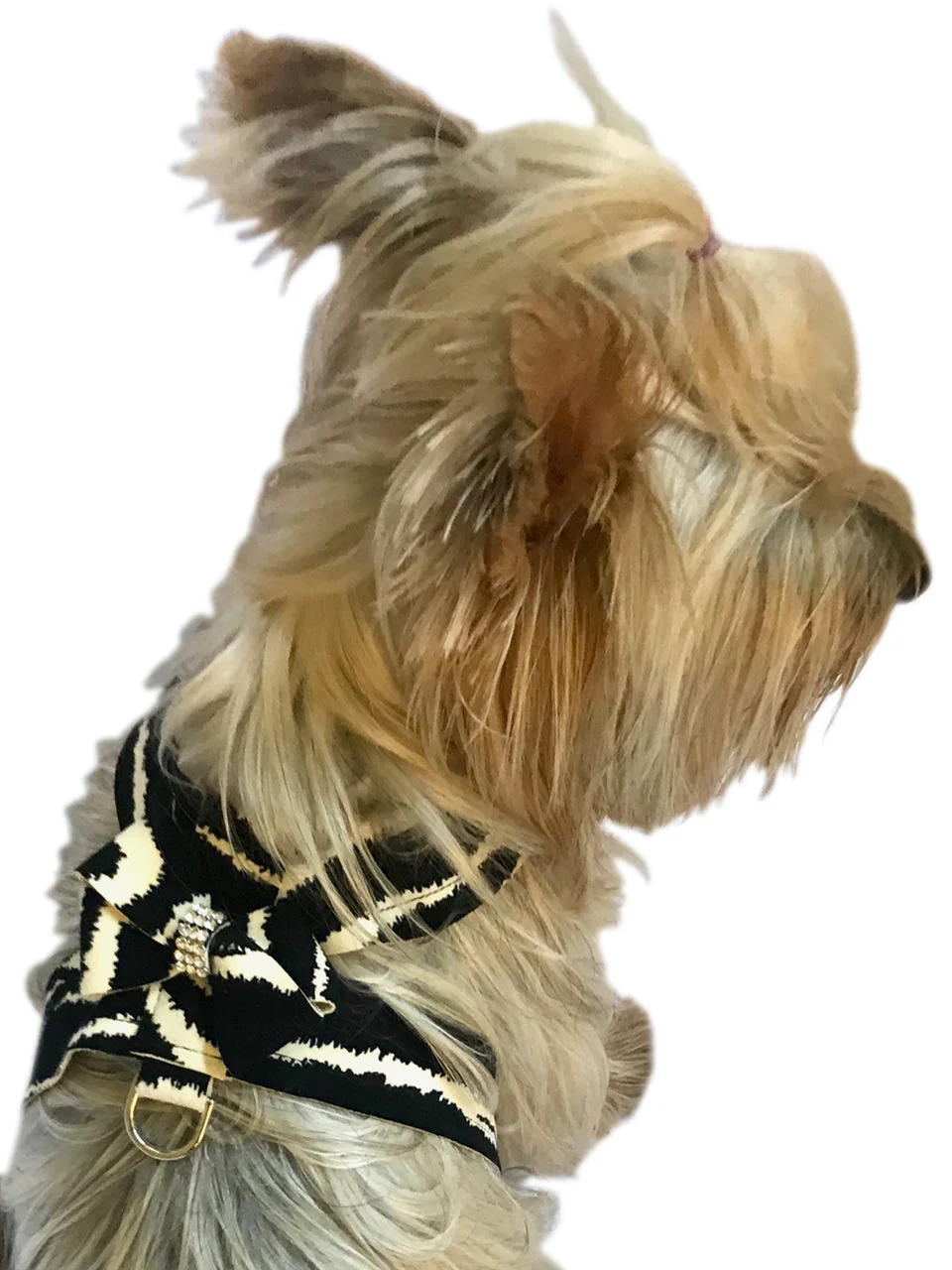 Hollywood Bow Dog Harness, Zebra - Image 2