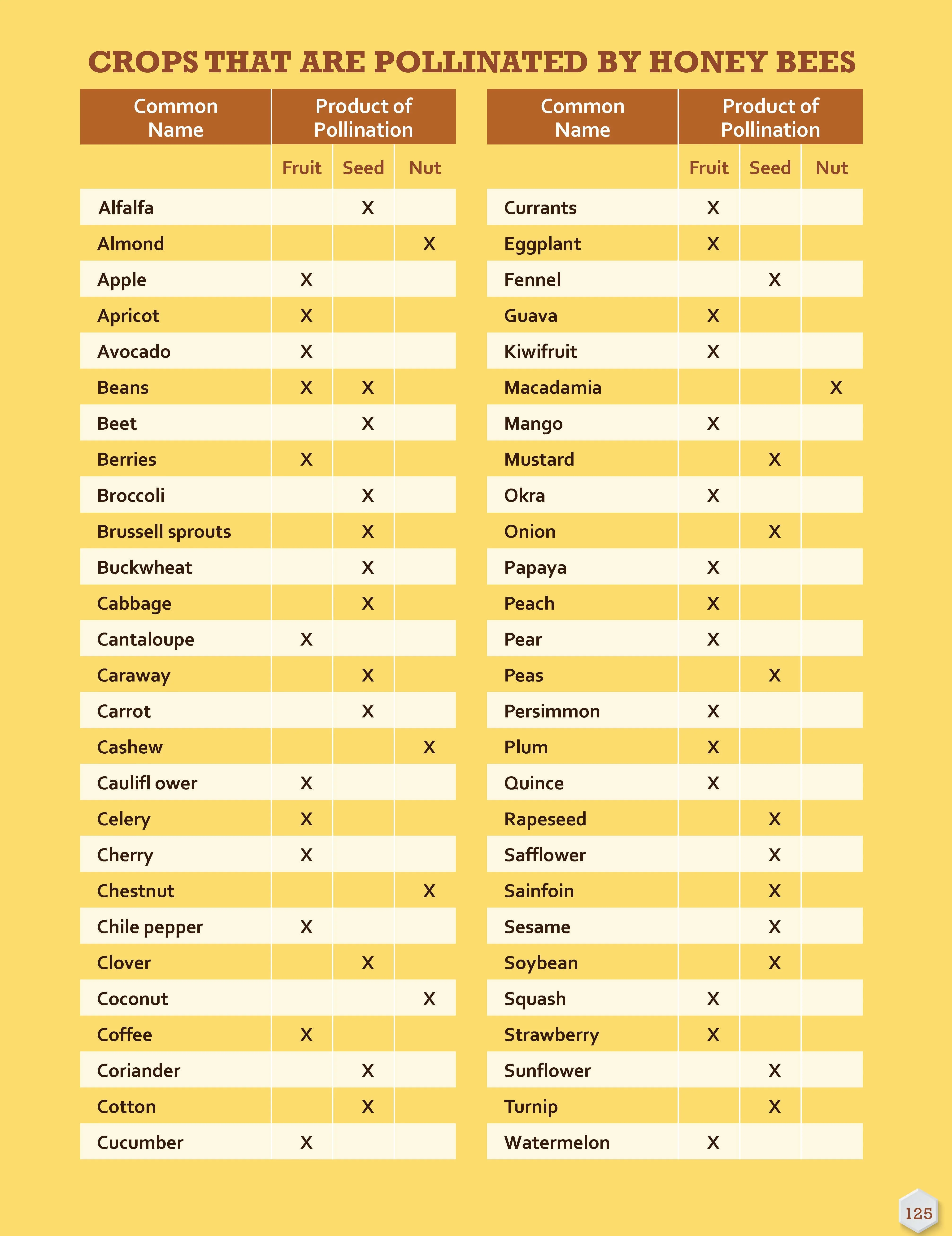 Honey Bee Hobbyist, 2nd Edition - Image 8