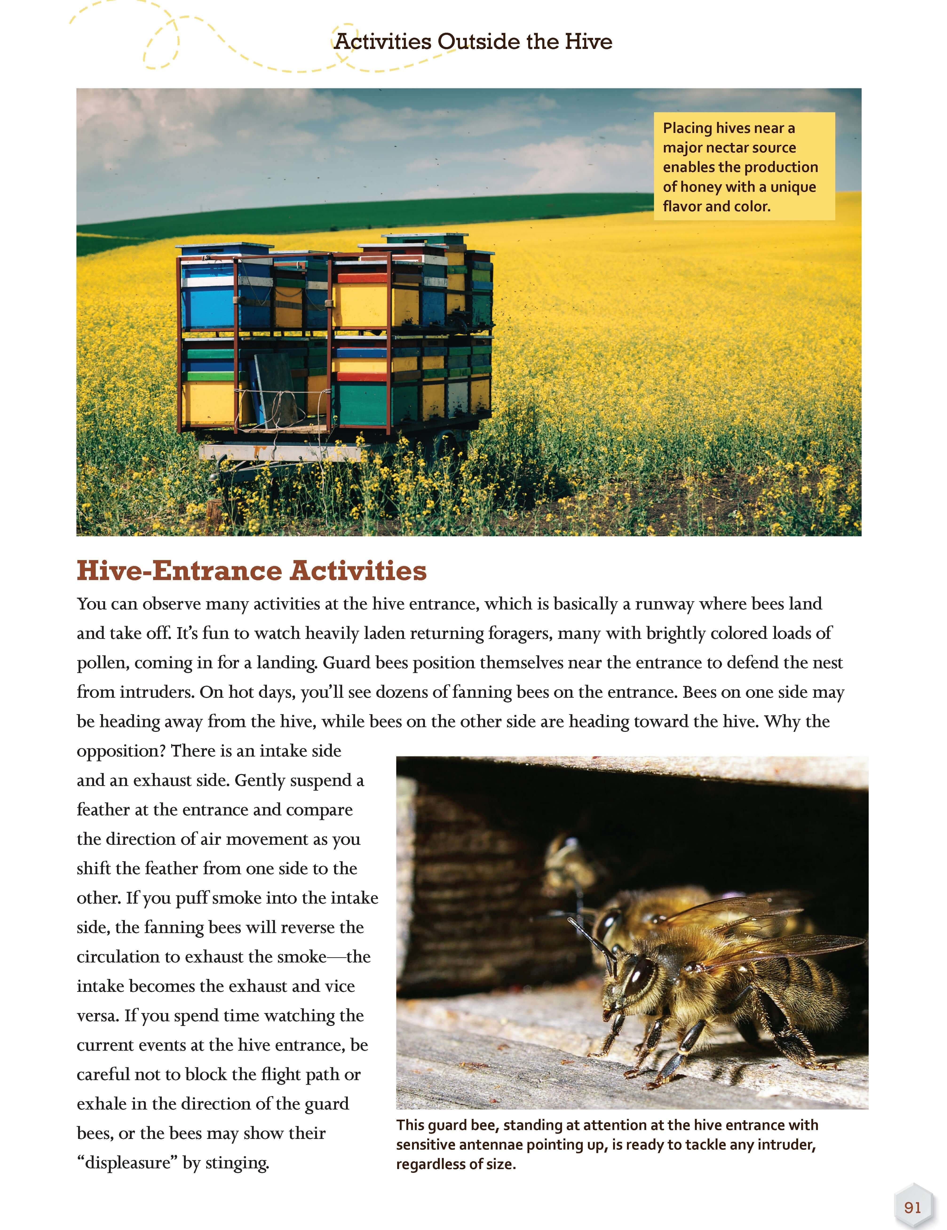 Honey Bee Hobbyist, 2nd Edition - Image 9