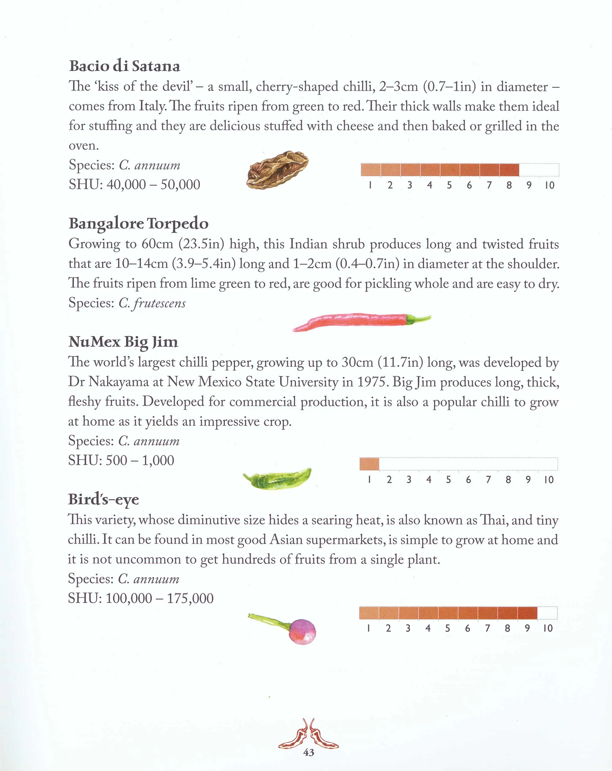 Hot Book of Chillies 2nd edition, The - Image 2