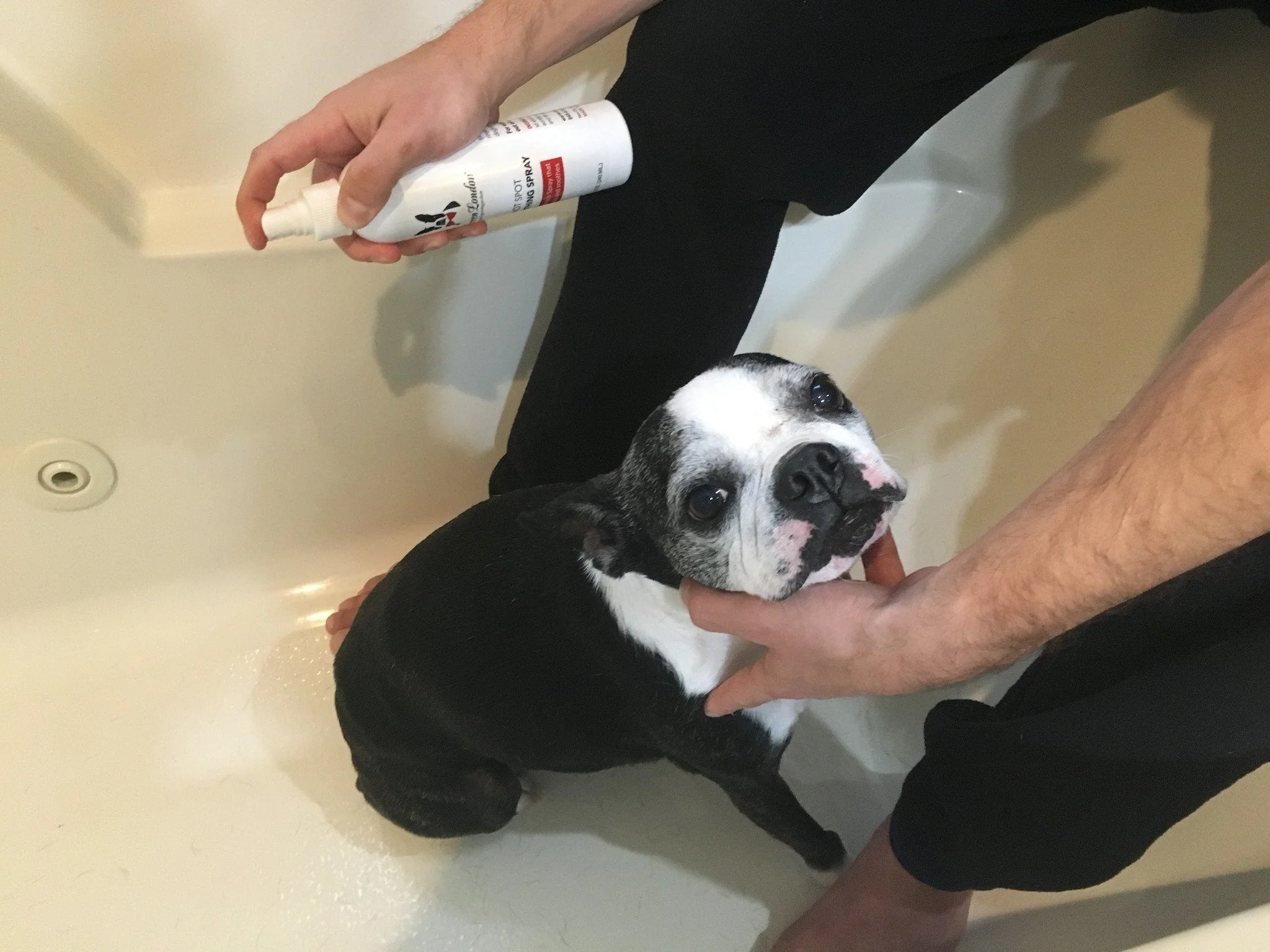Hot Spot Soothing Spray - Anti Itch Spray That Soothes And Cools - Image 6