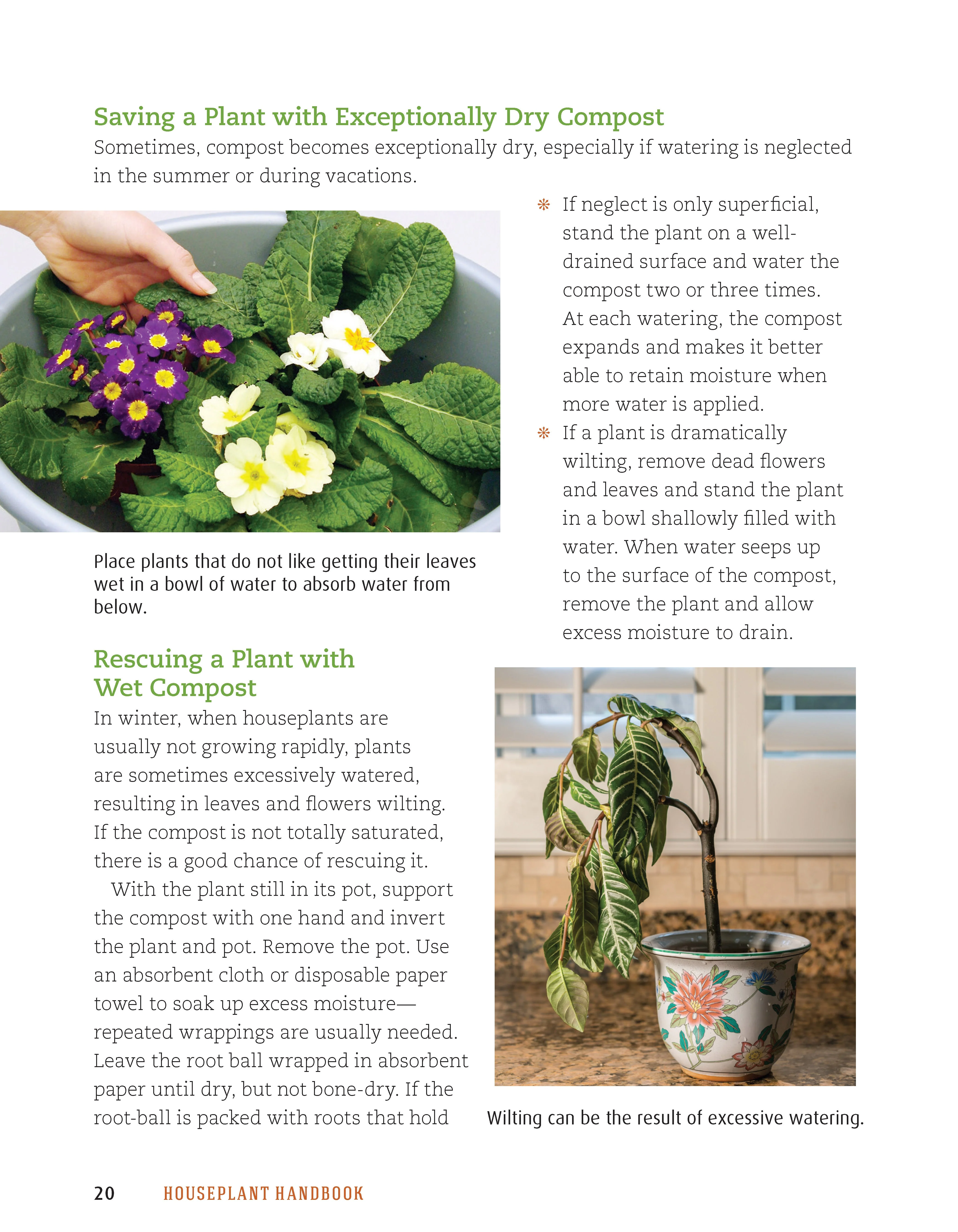 Houseplant Handbook - Image 3