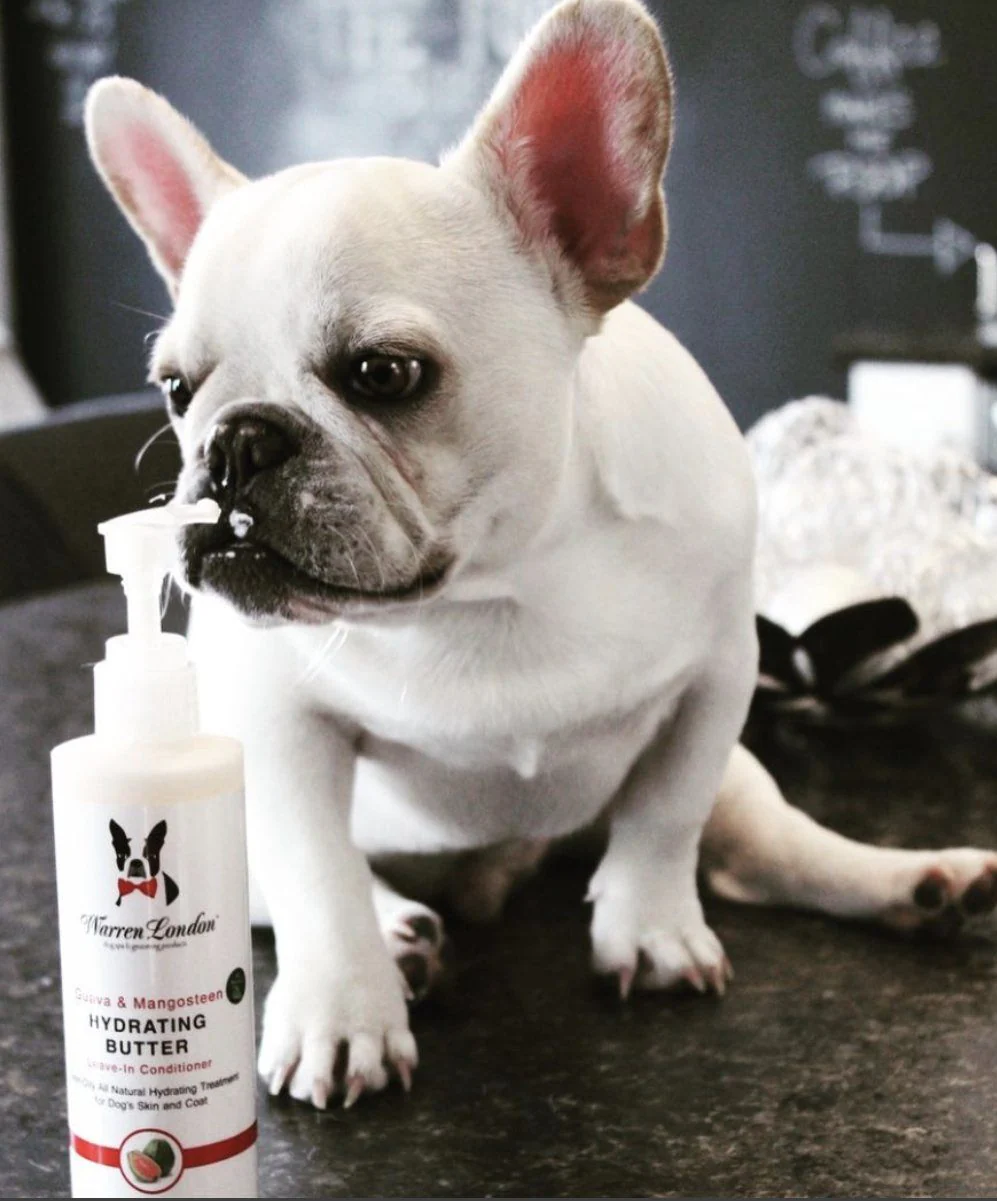 Hydrating Butter - For Dogs Skin & Coat - Leave-In Moisturizer - Image 12