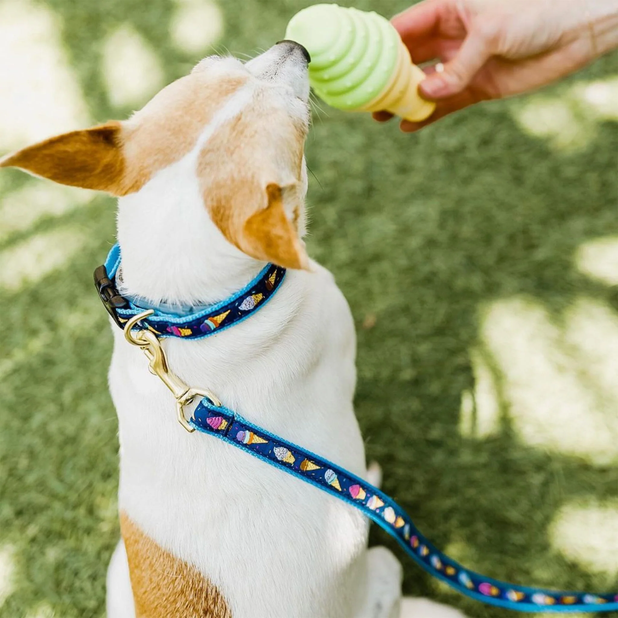 Up Country Ice Cream Cast Brass Dog Collar - Image 4