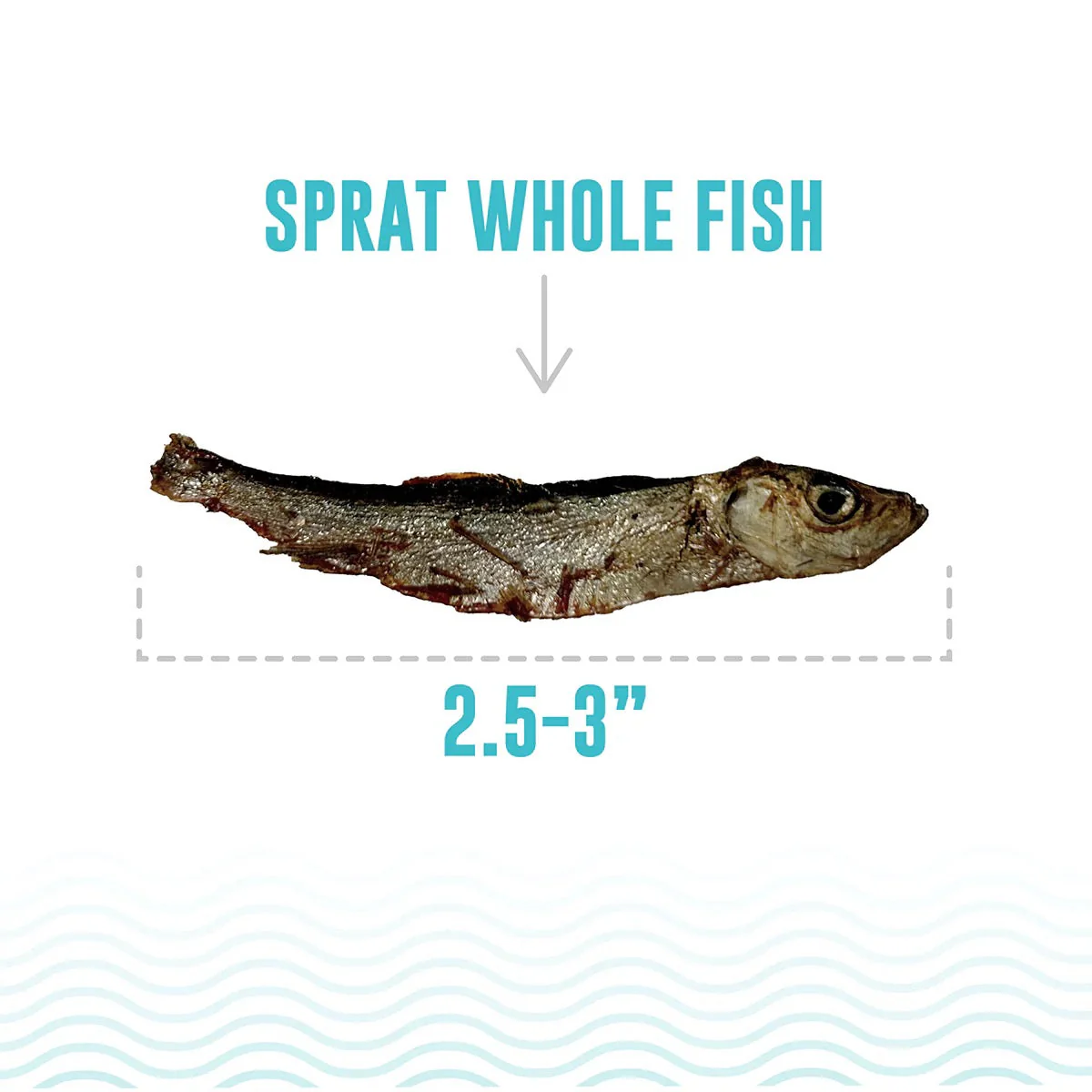 Icelandic Whole Sprats Cat Treats (0.85oz) - Image 3