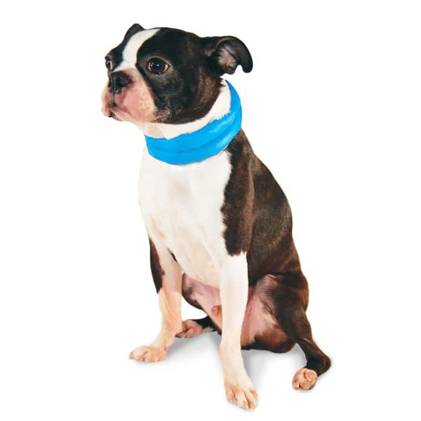 iCool Scarf - Image 7