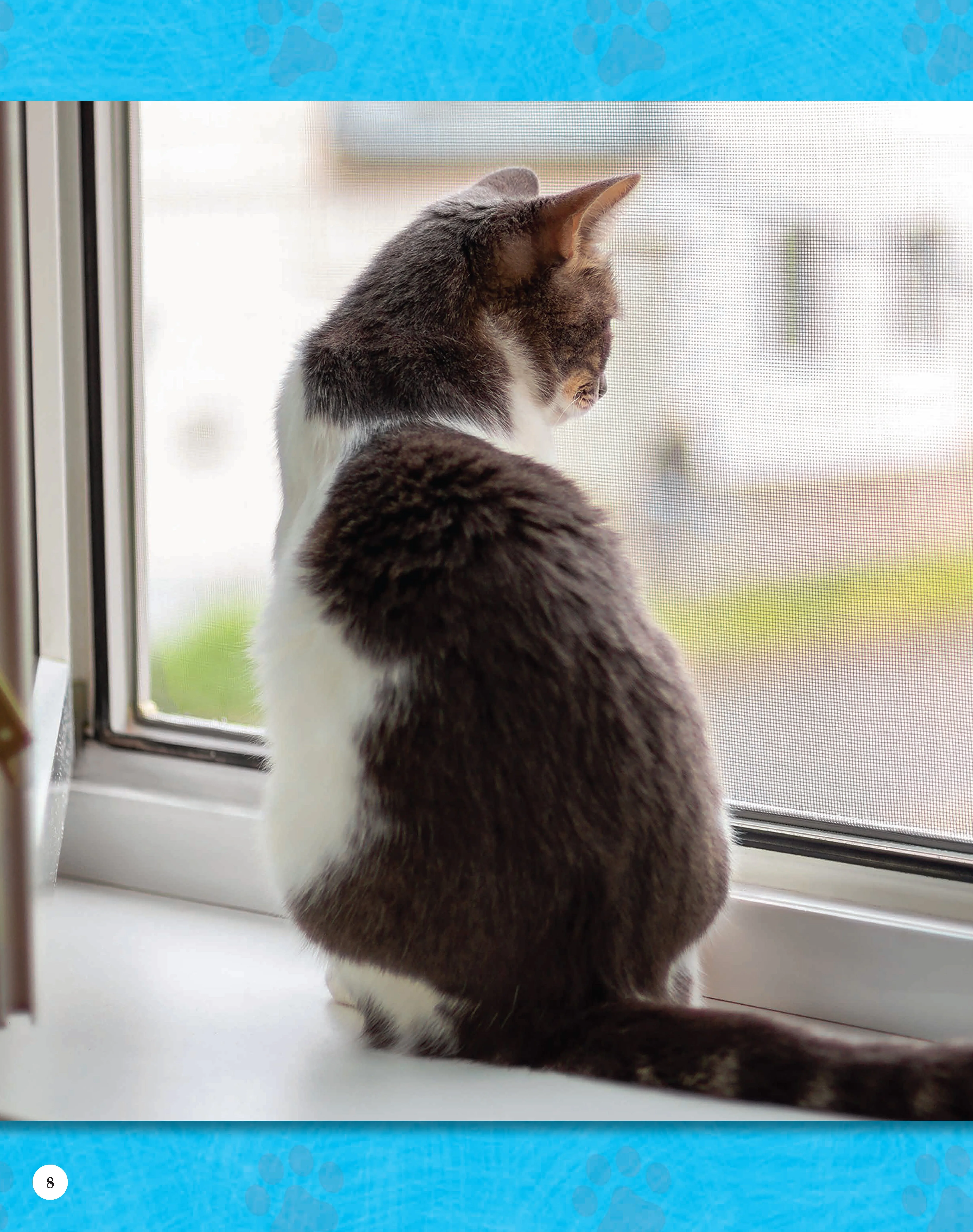 If Animals Could Talk: Cats - Image 33