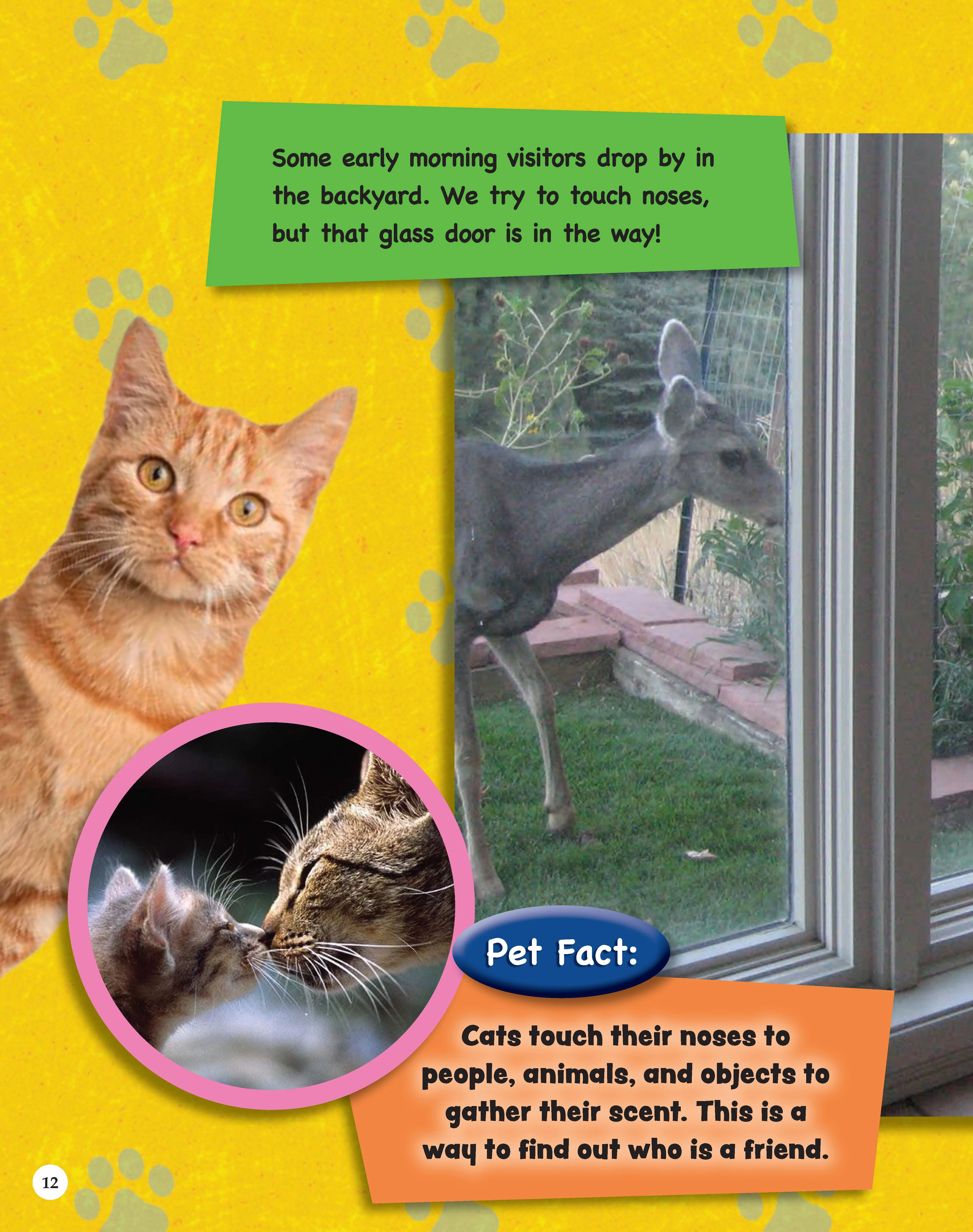 If Animals Could Talk: Cats - Image 46