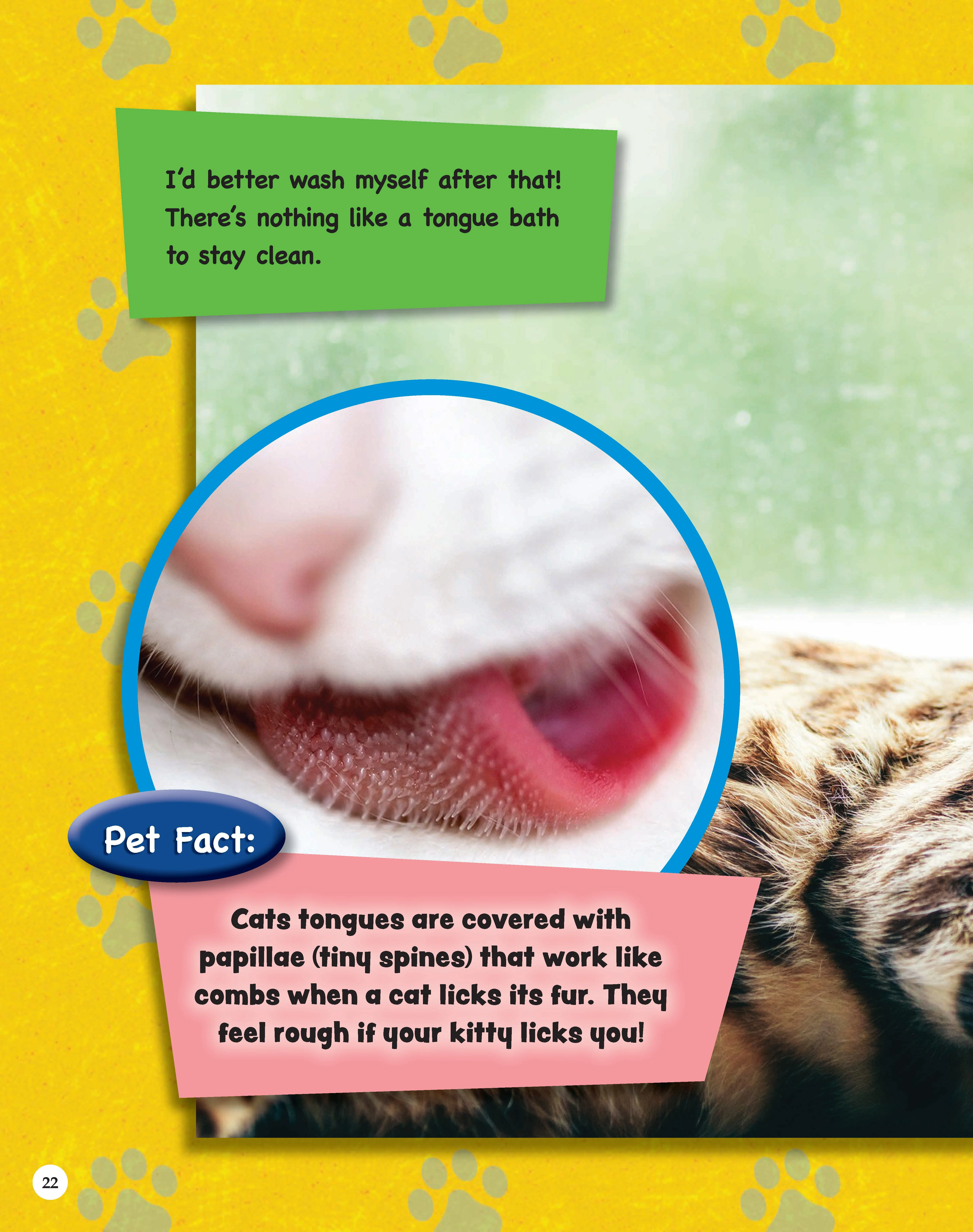 If Animals Could Talk: Cats - Image 6