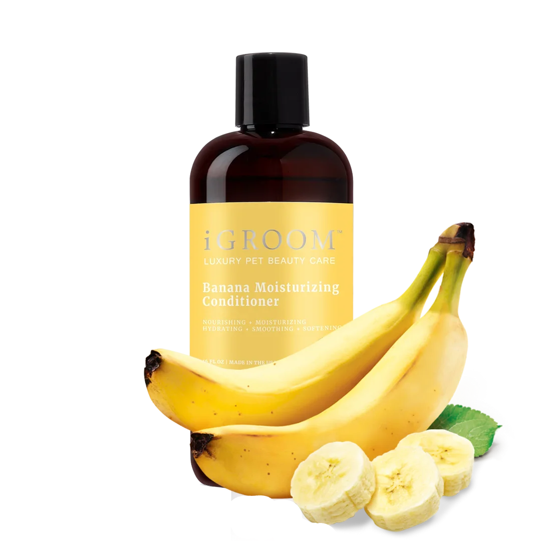 Banana Moisturizing Conditioner 16oz by iGroom - Image 2