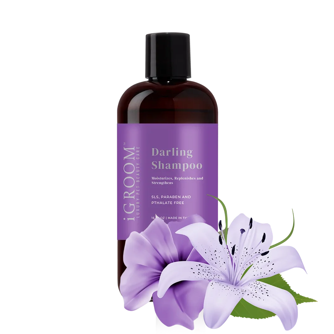 Darling Shampoo 16oz by iGroom - Image 2